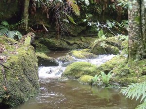 Hat Hill Canyon in Flood
