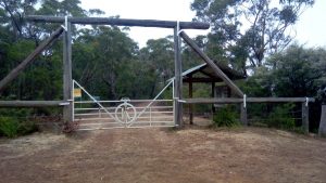 Goat Track - Kedumba Walls