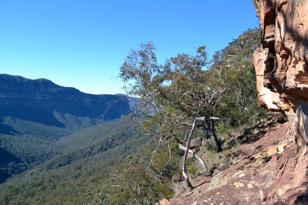 Brownes Path and Unnamed Pass - Hat Hill Ridge