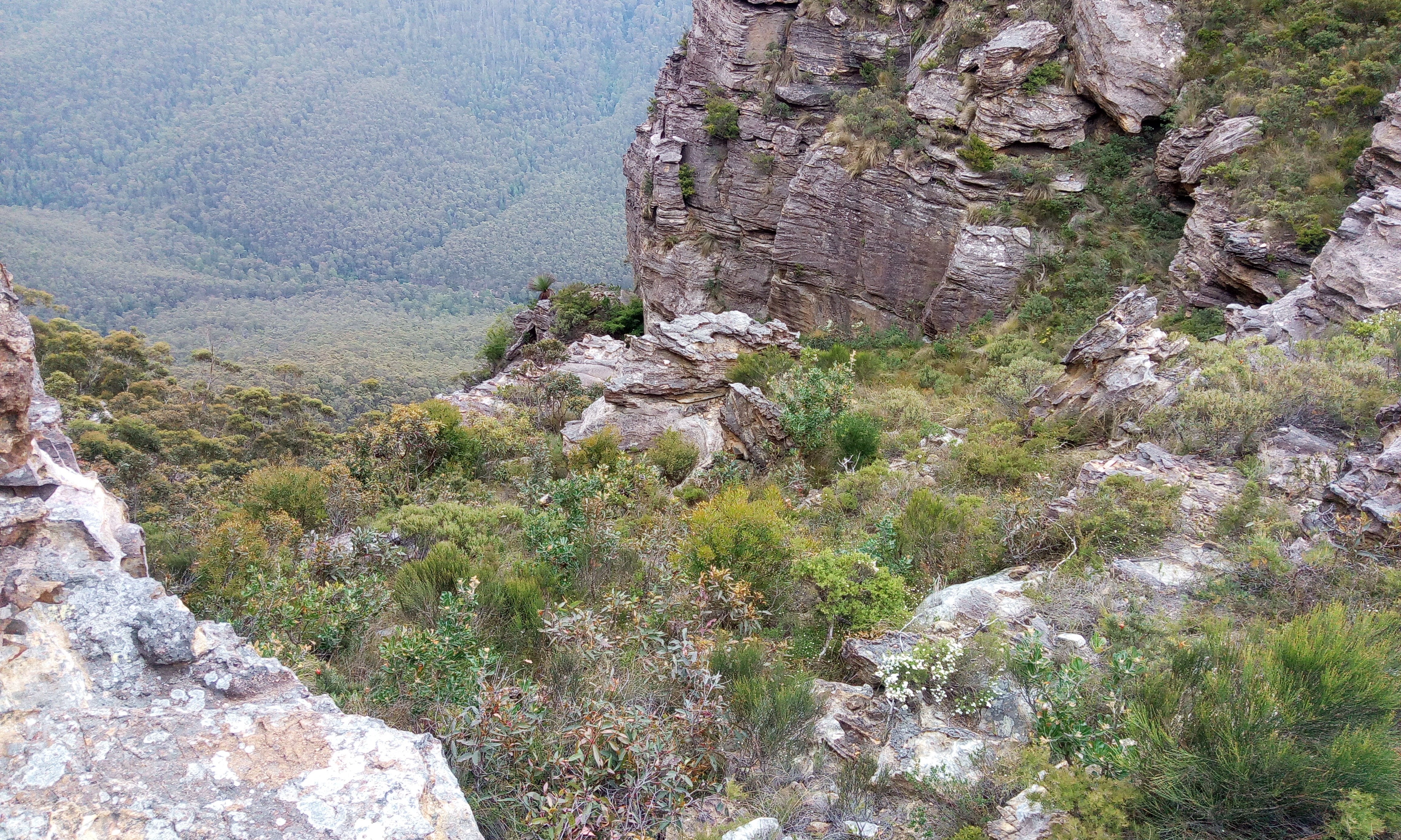 Lockleys Chute - into the Grose