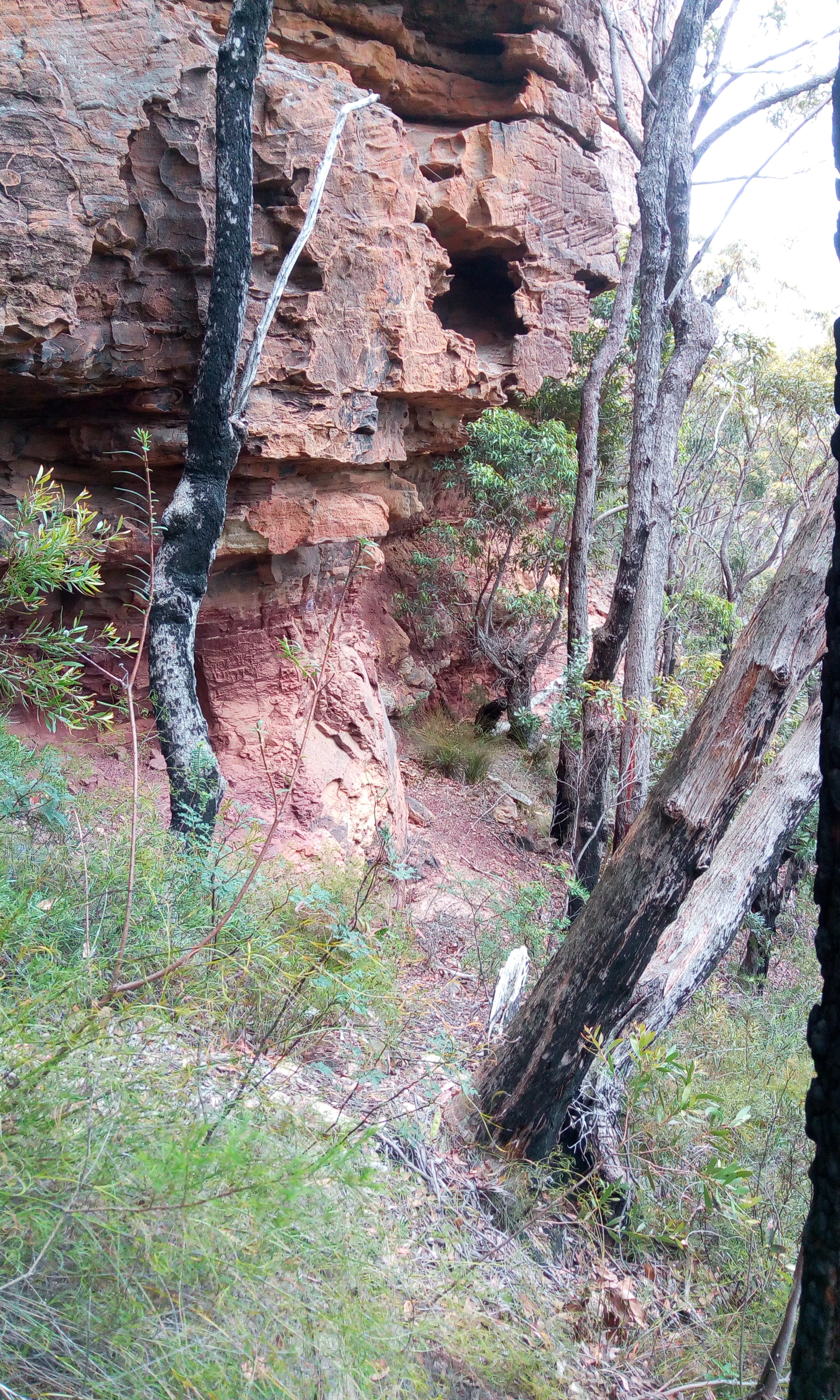 The ledge south follows the Mt York Claystone.