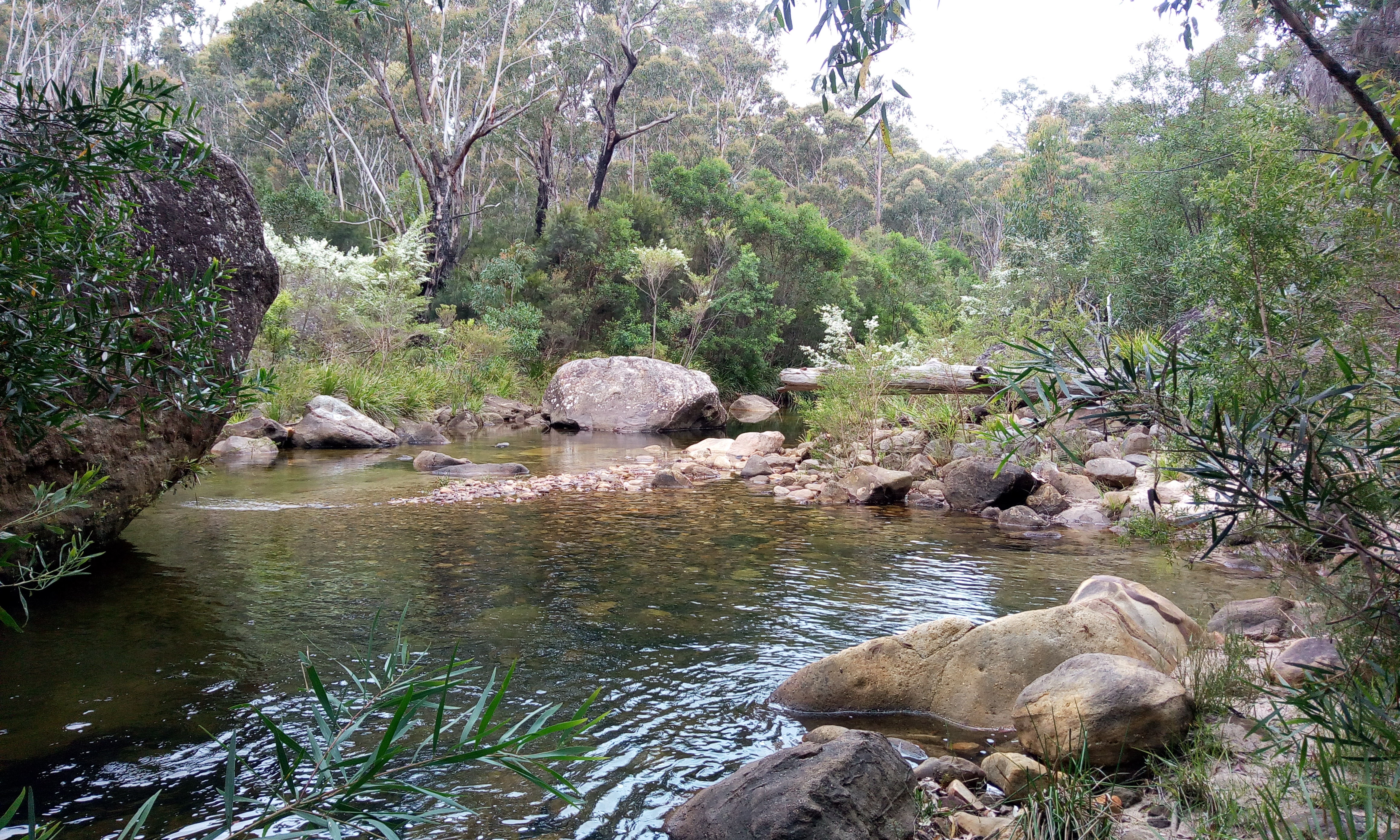 Keep right as you descend, then left to the small climbdown.