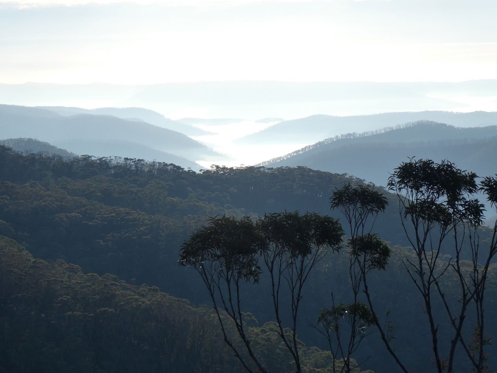 Misty Valleys from Cottage Rock