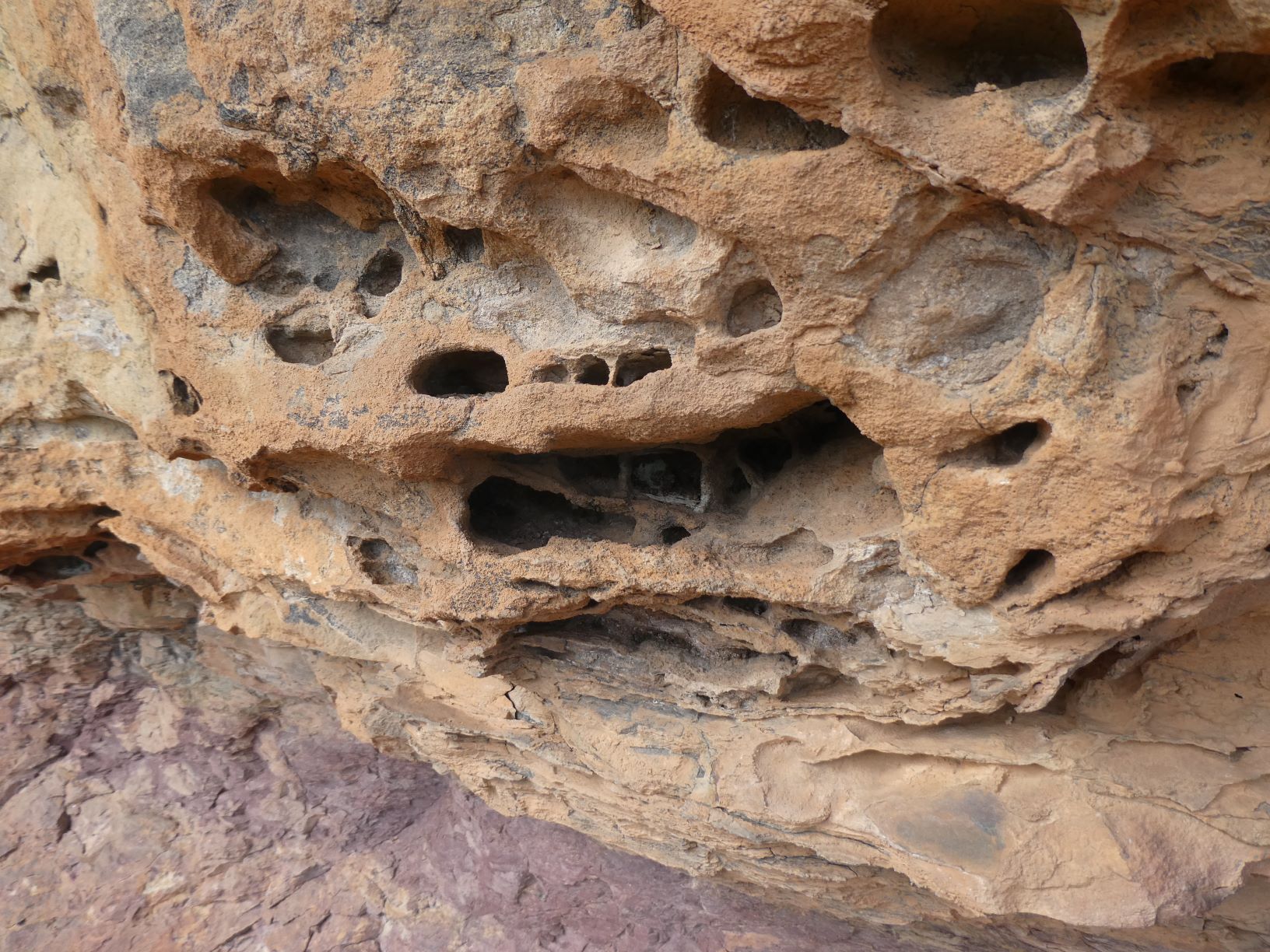 Wind eroded sandstone