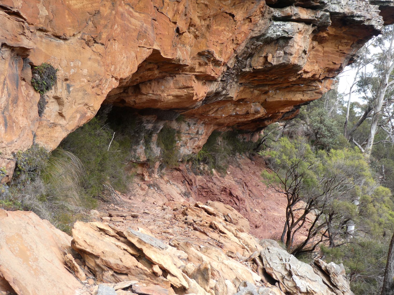 Not a runnable section