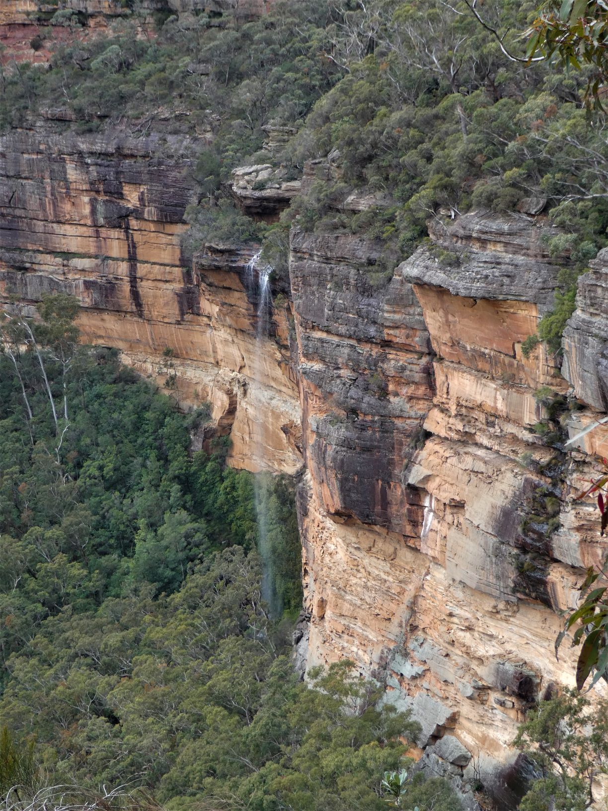 Back Creek Falls from the South