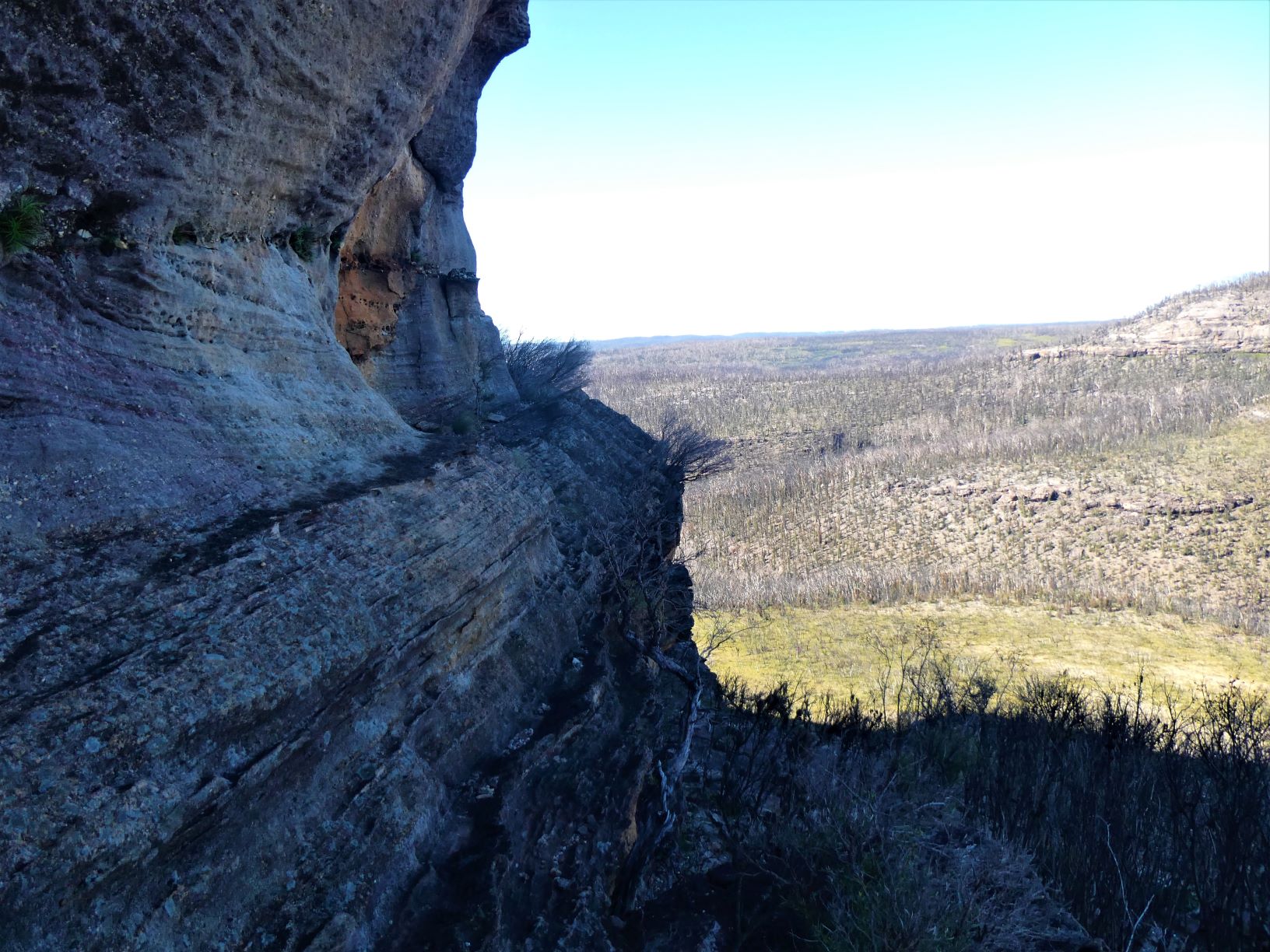 Booyong Crags Ledge