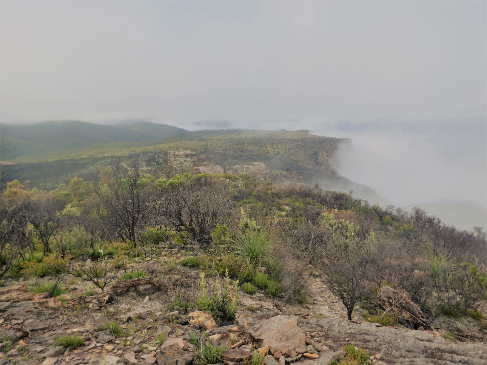 Holbeachs Descent and Spring Creek Ridge Pass