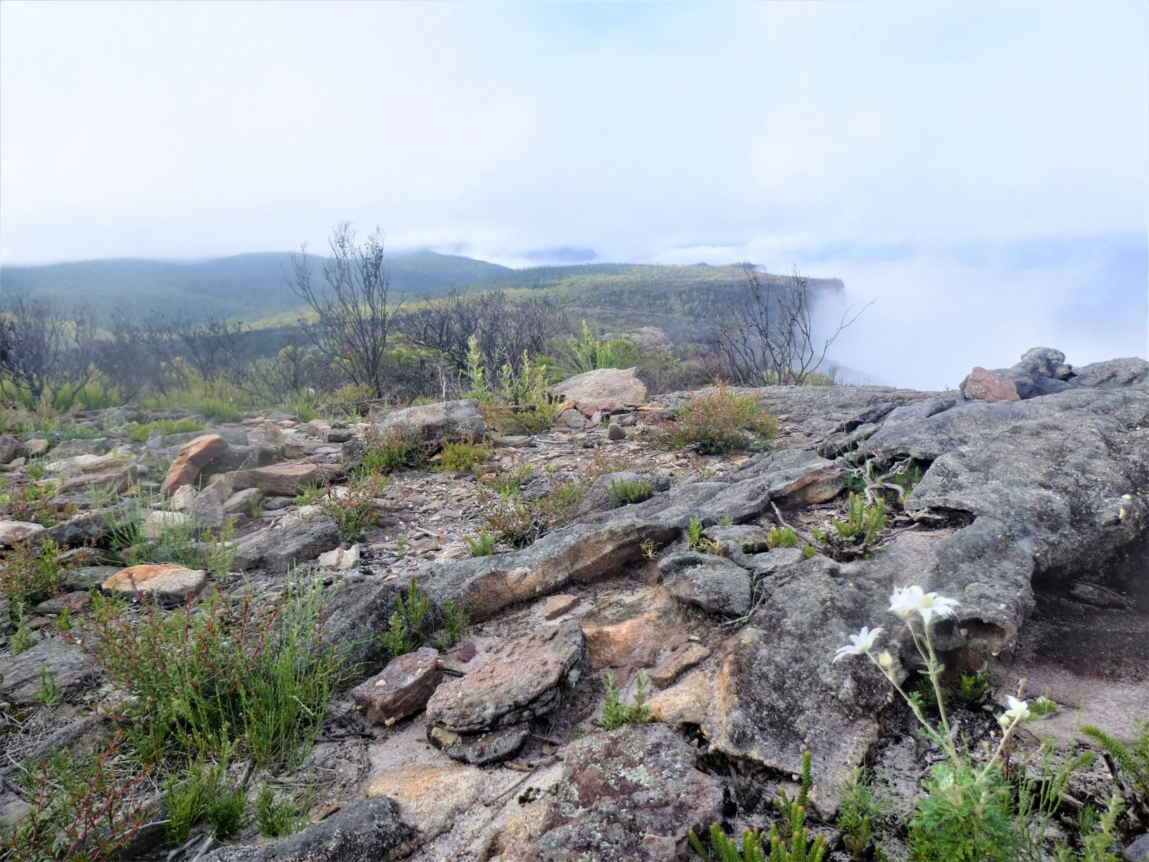 En route to Lions Head