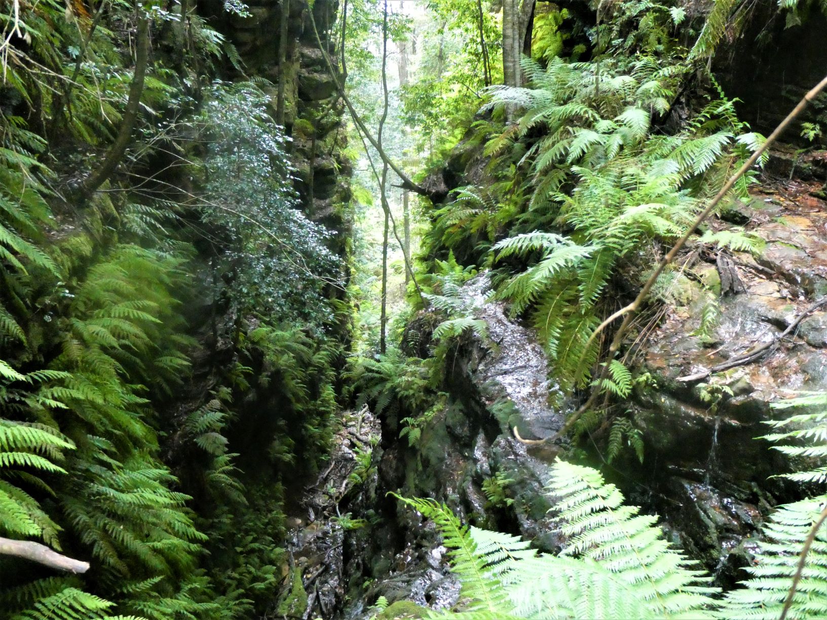 Mid section  of Gladstone Pass