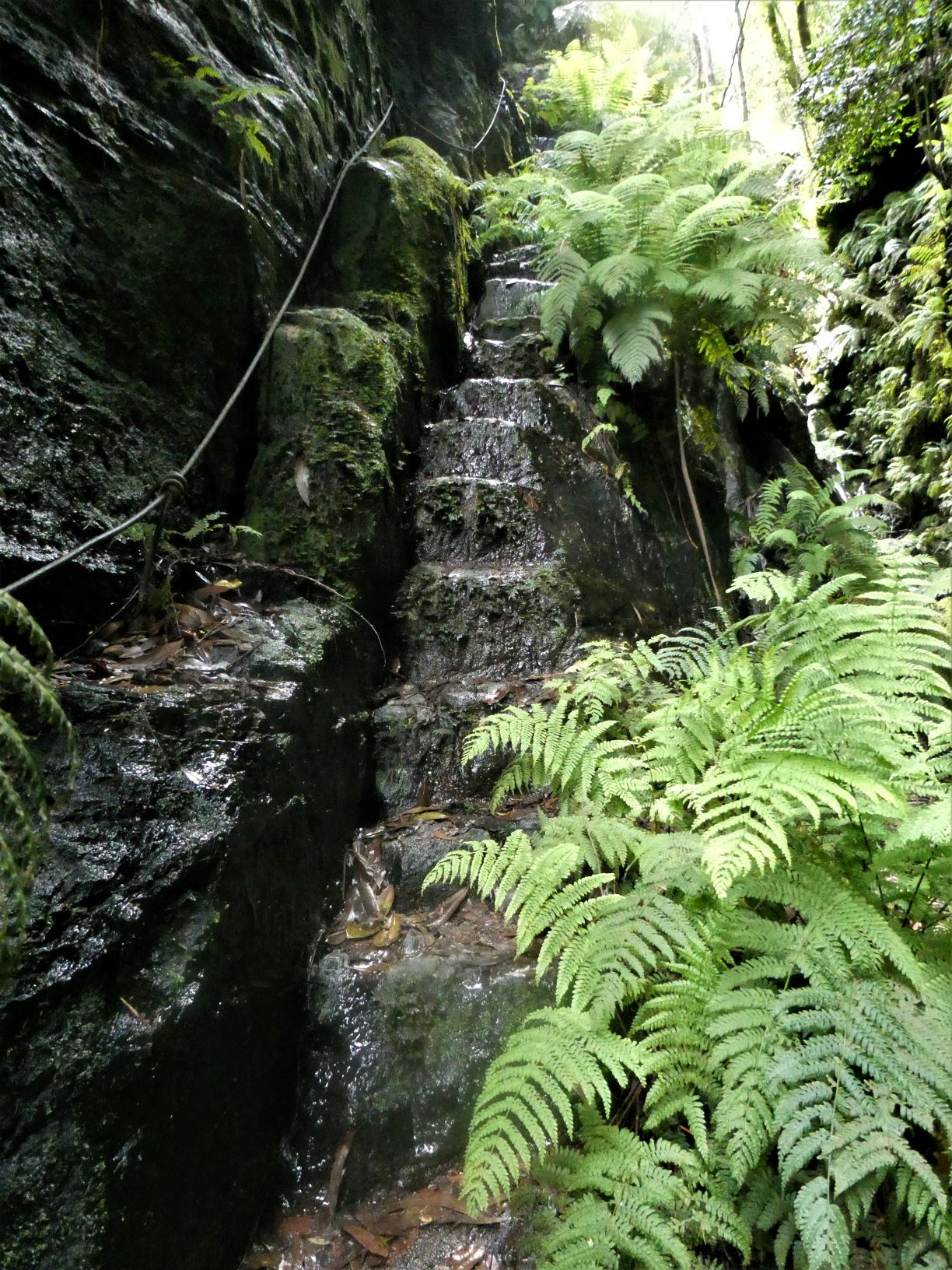 Base of Gladstone Pass