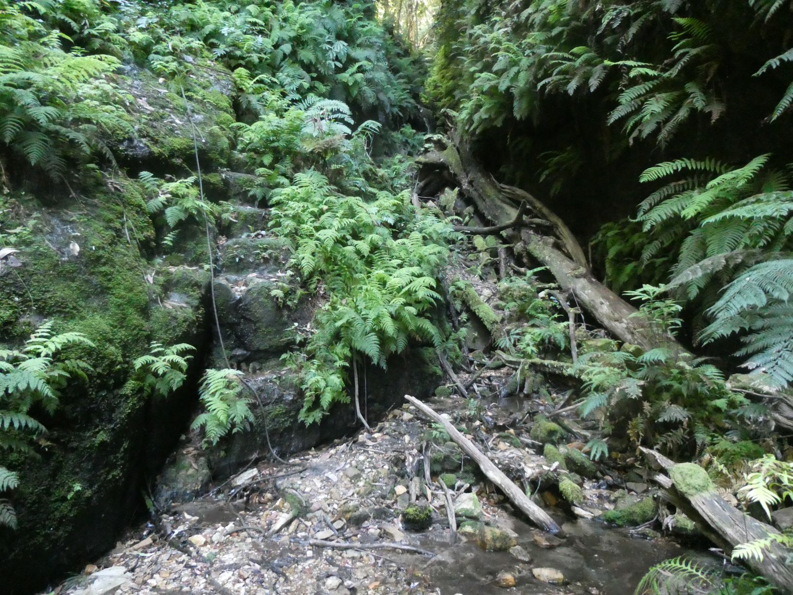 Seven Passes between Leura and Wentworth Falls