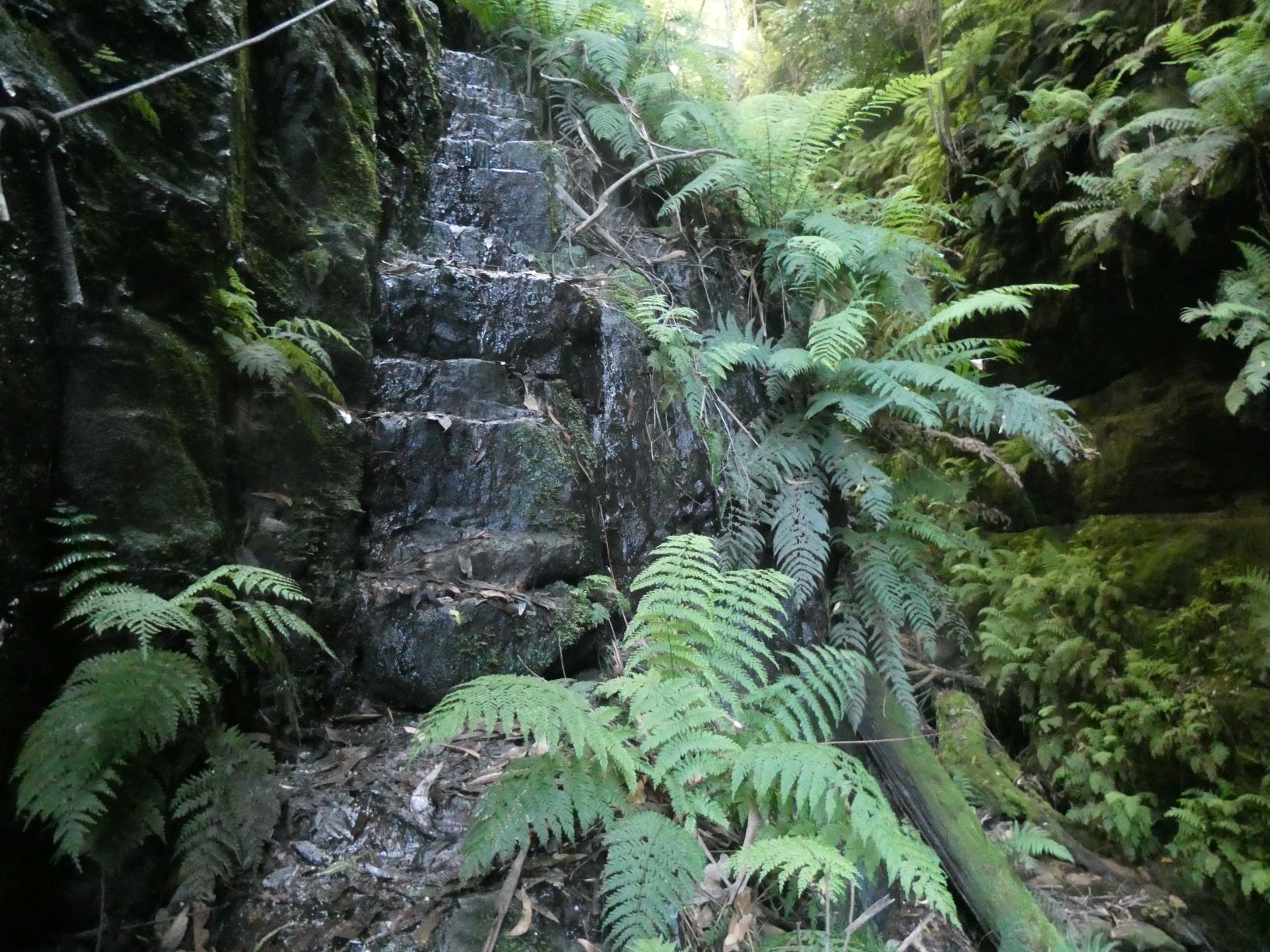 Gladstone Pass Steps