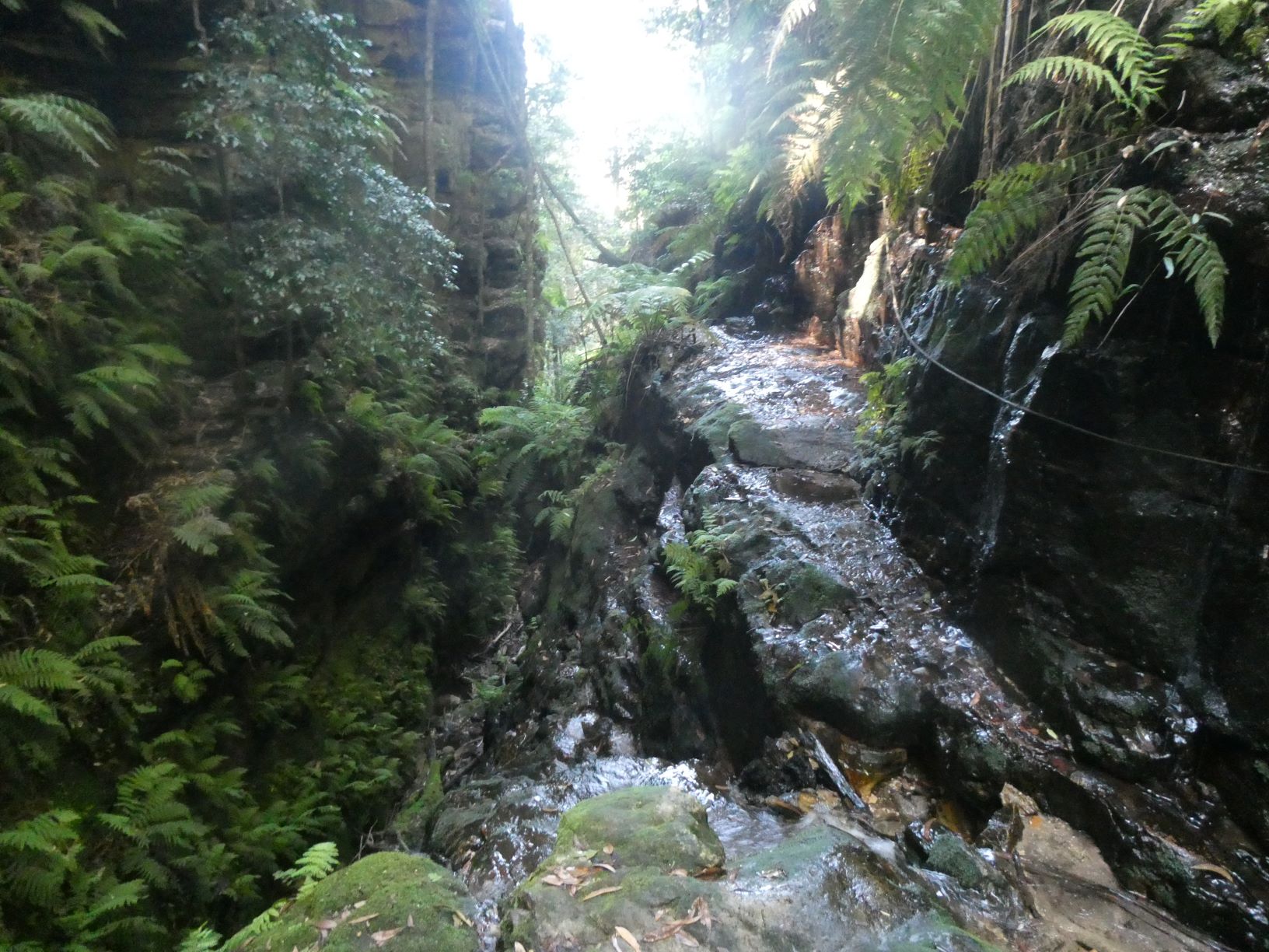 Looking back down Gladstone Pass