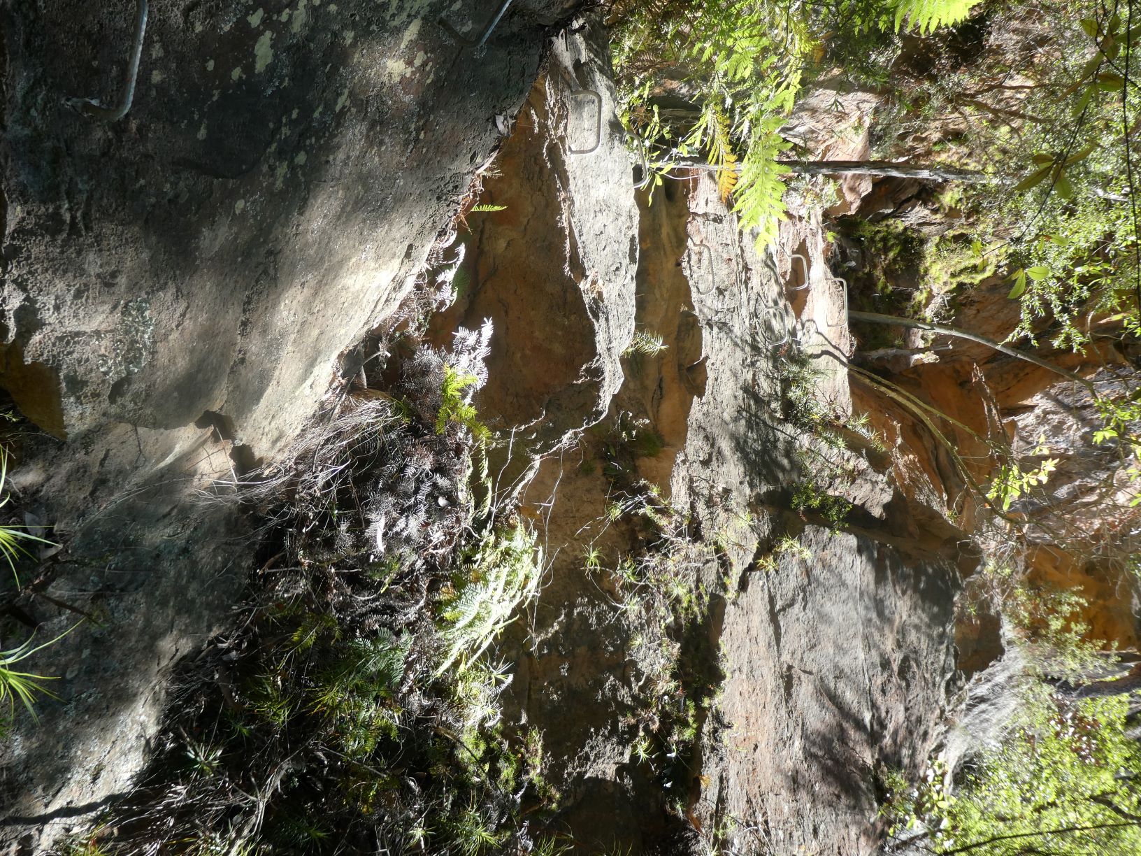 Looking back up Bowden Pass