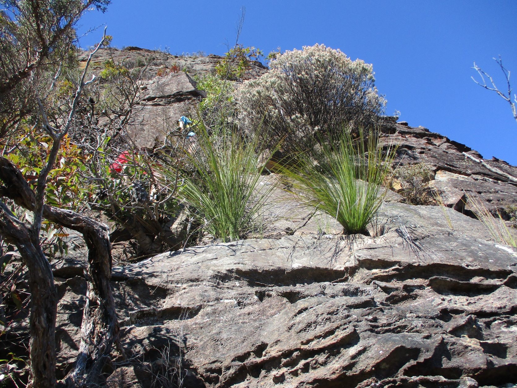 Diamond Head Descent
