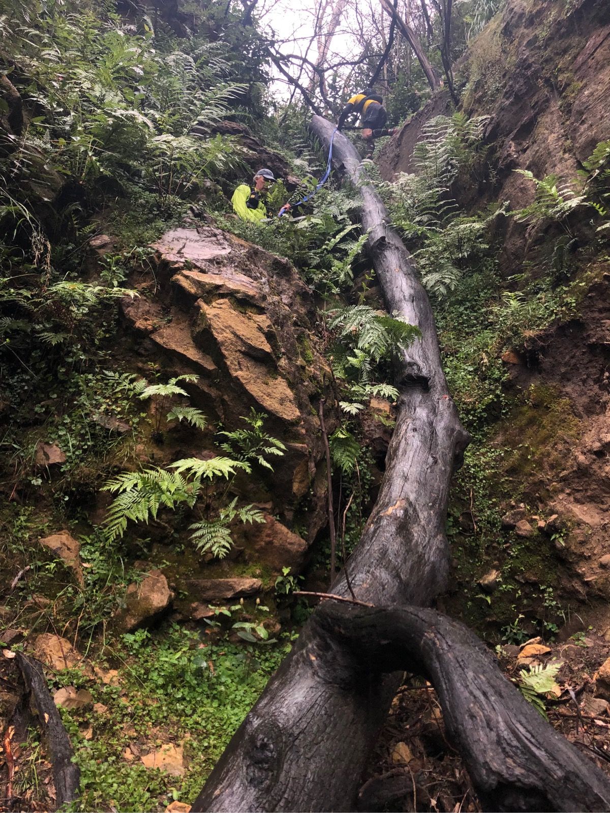 Below crux of Holbeachs Descent