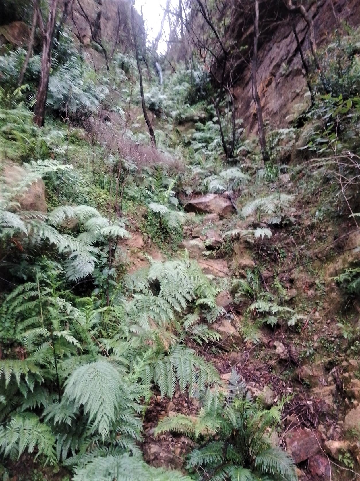 Close to the bottom of Holbeachs Descent