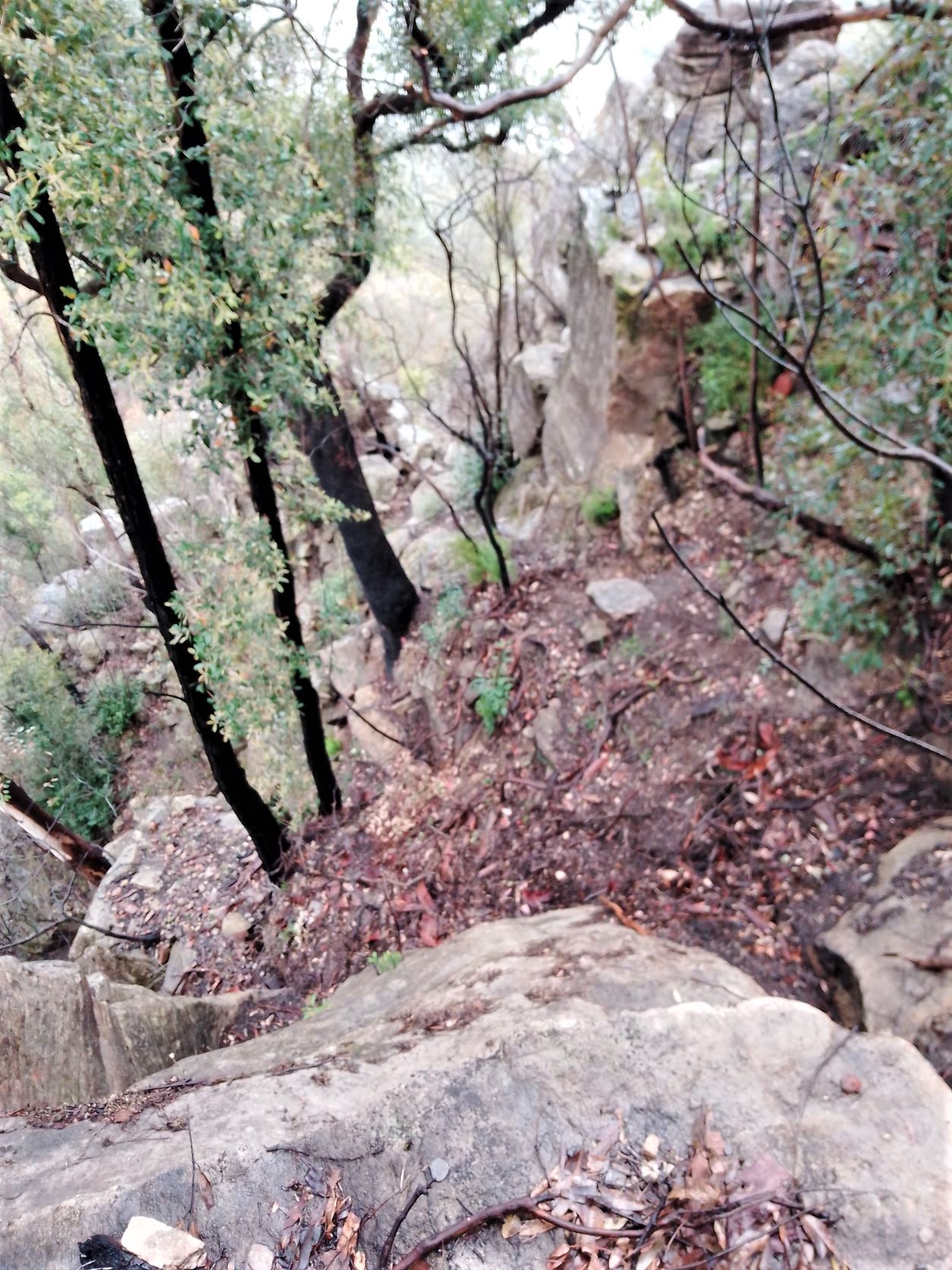 Ascending ramp at Spring Creek