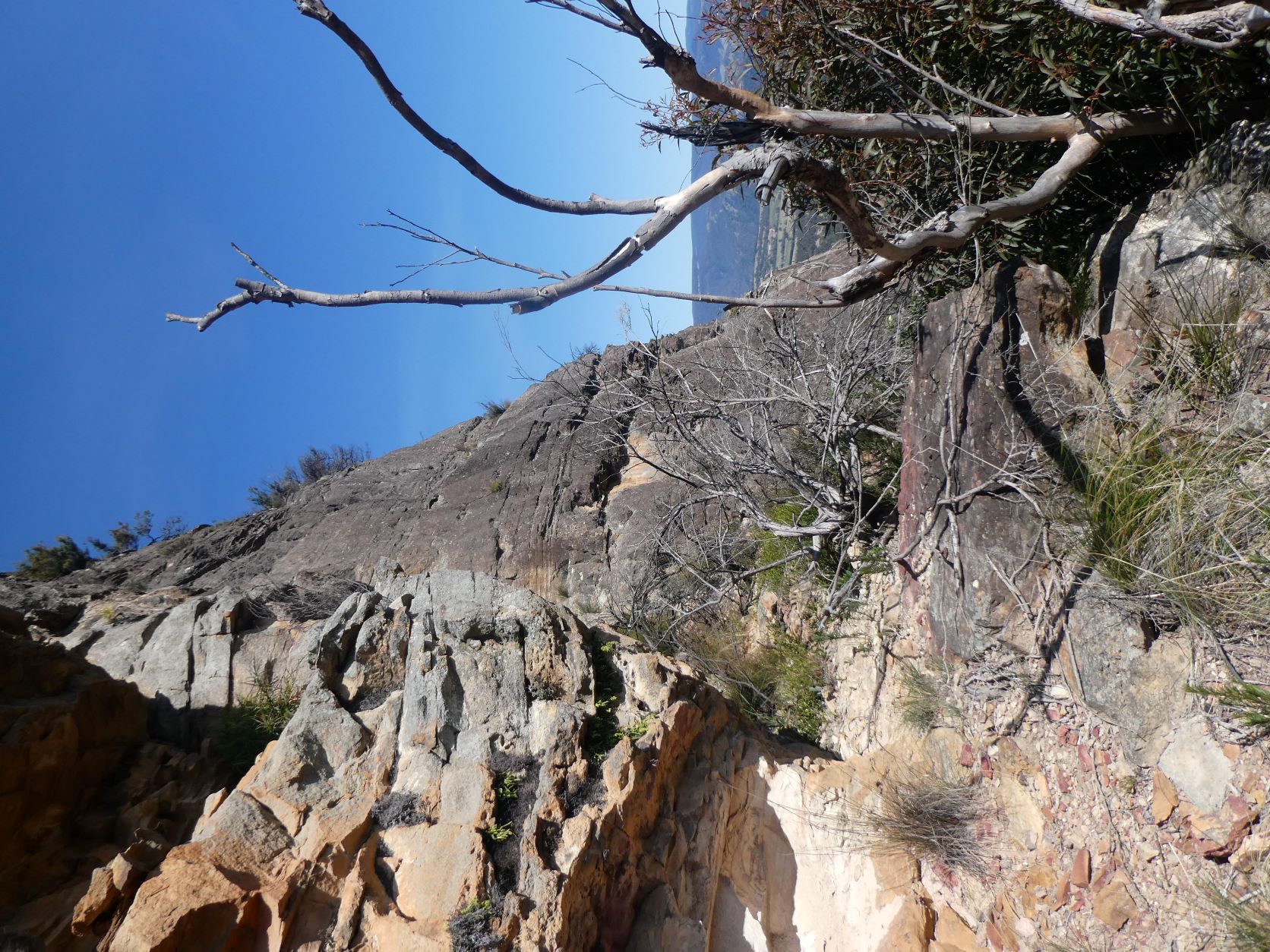 Diamond Head Descent Point