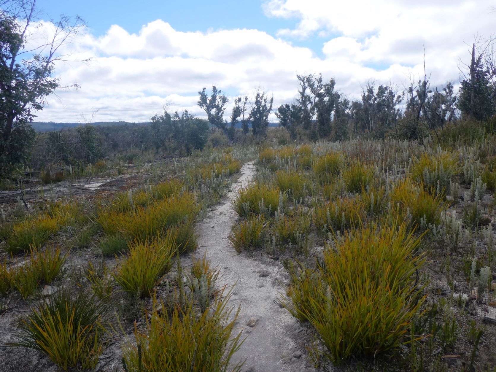 Sharps Pass into Upper Grose