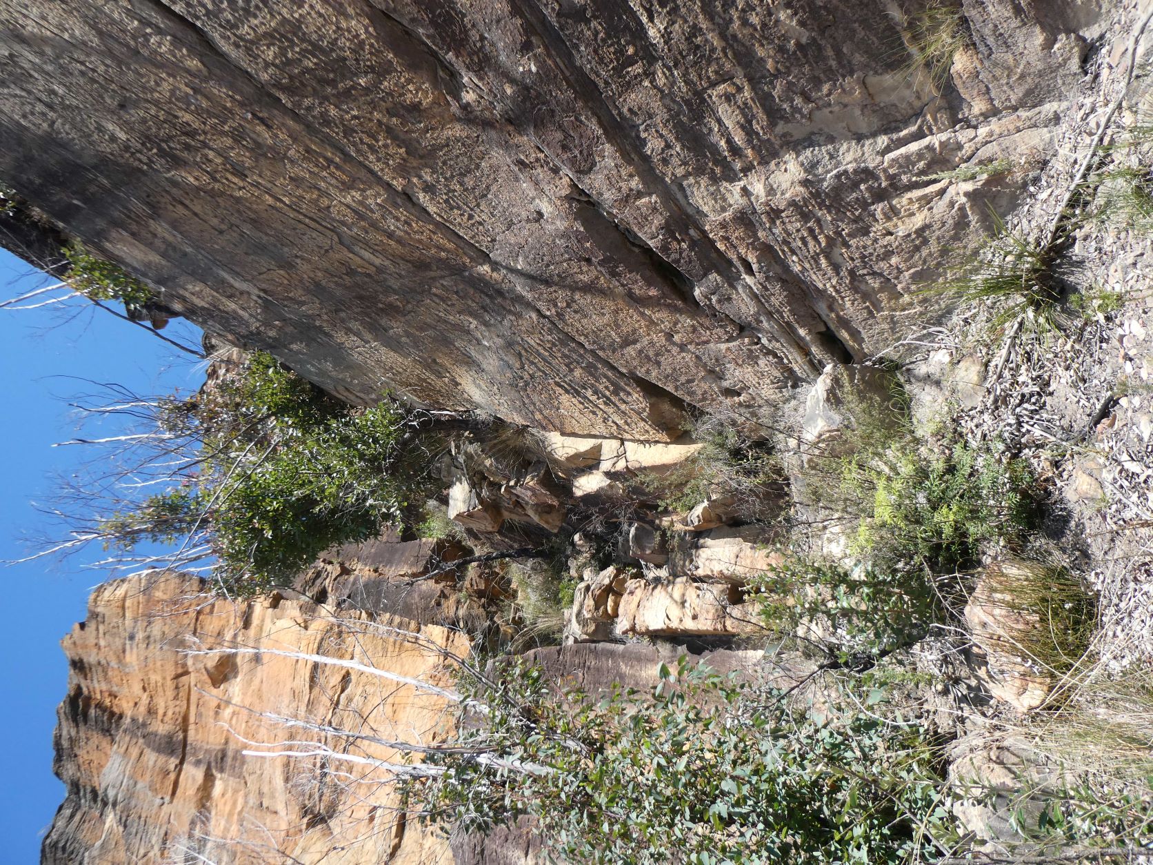 Sharps Pass Rock Jumble