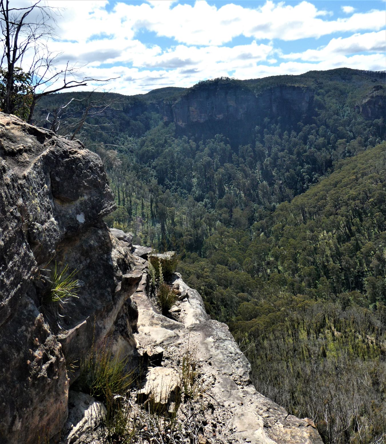 Alternate Sharps Pass