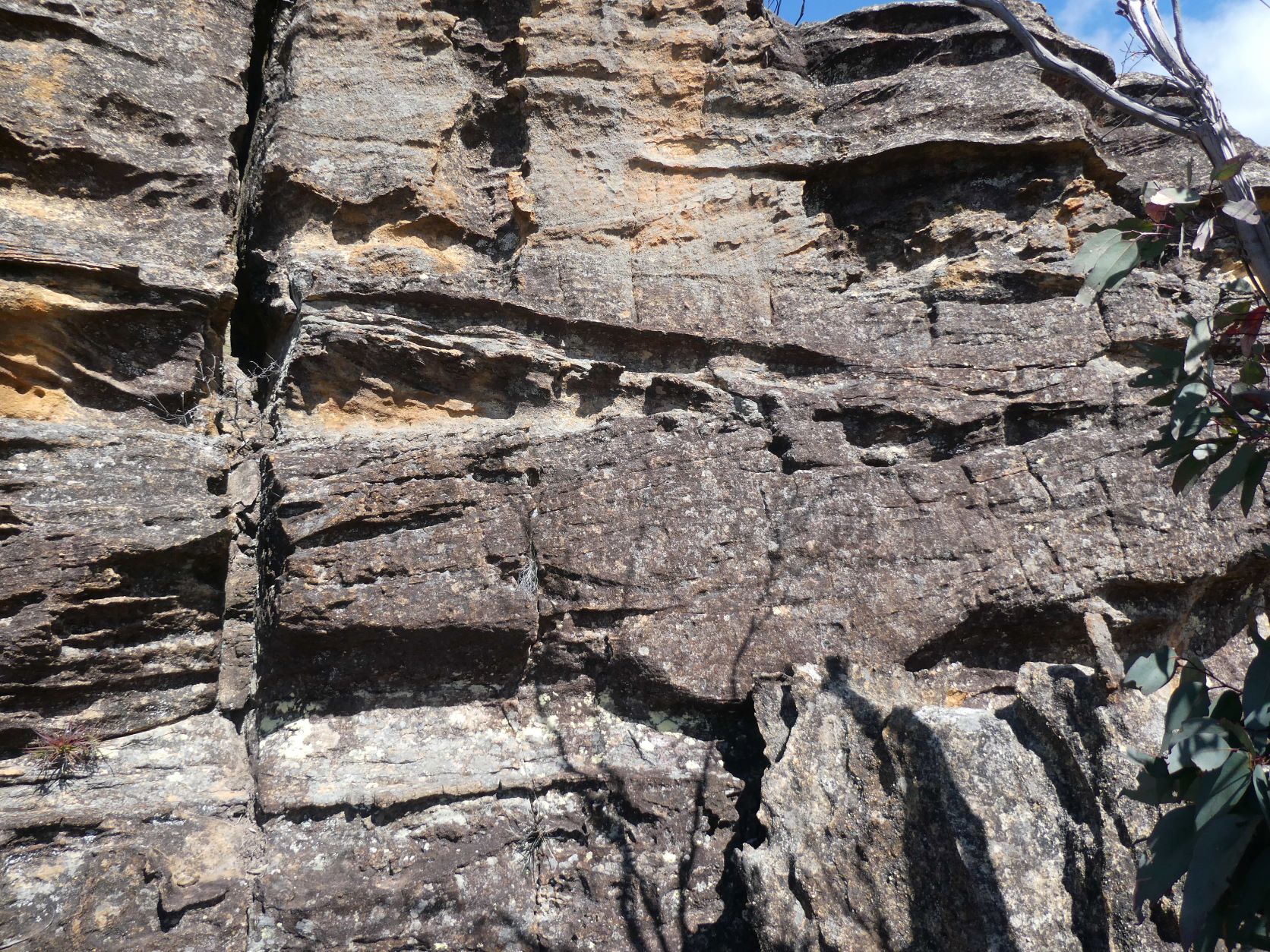 Alternate Sharps Pass