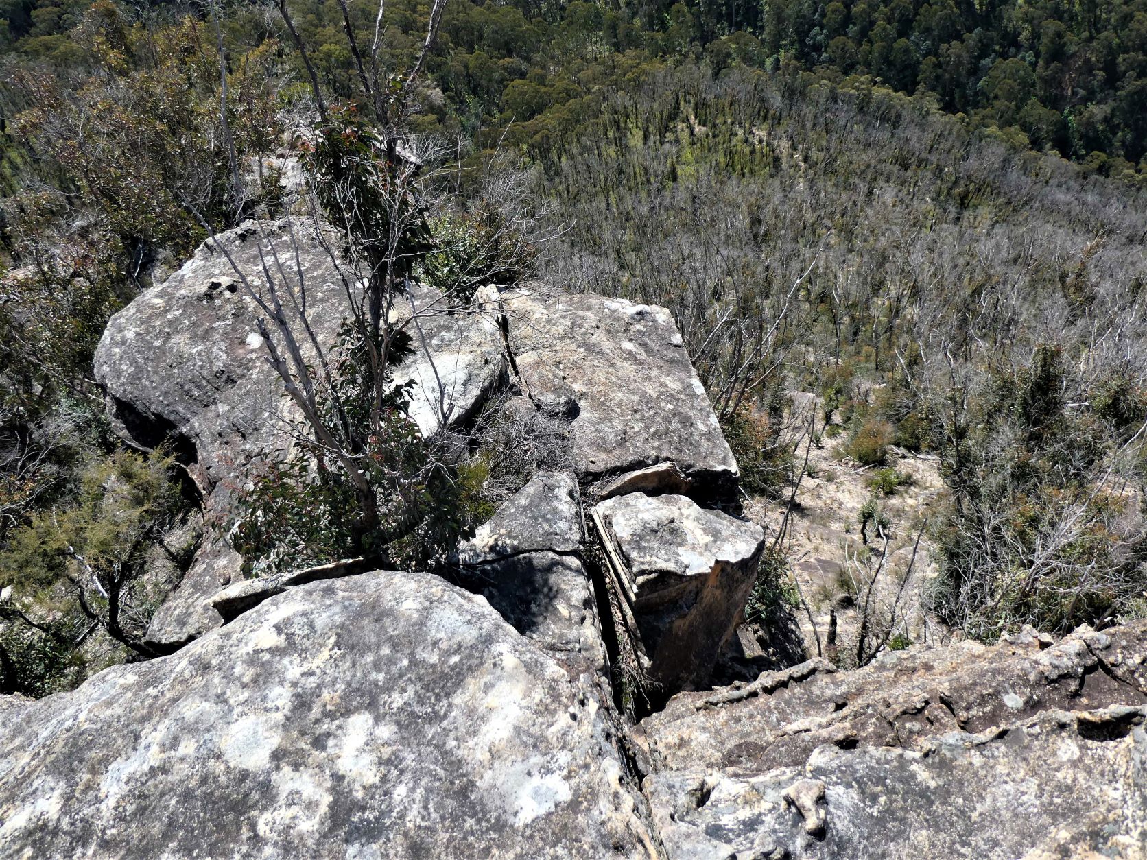 Alternate Sharps Pass