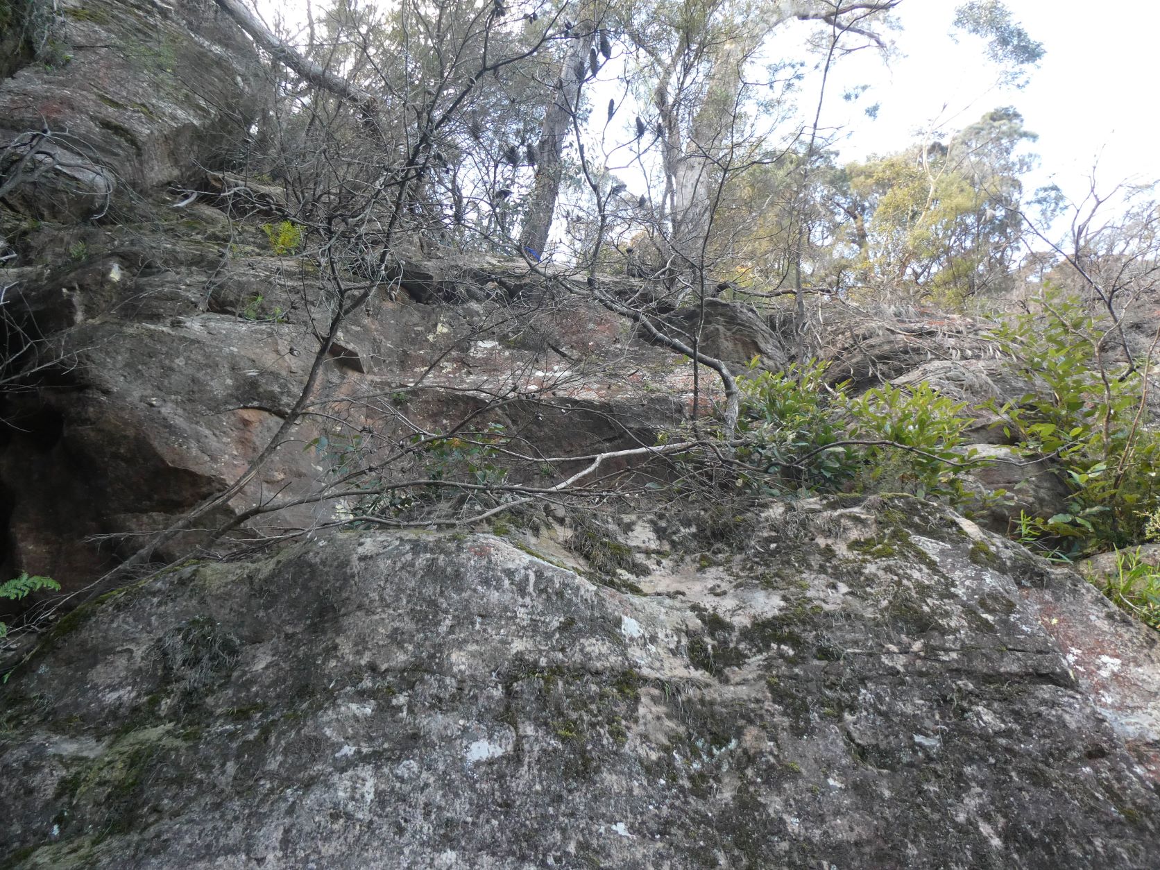 Mount Solitary Western Passes