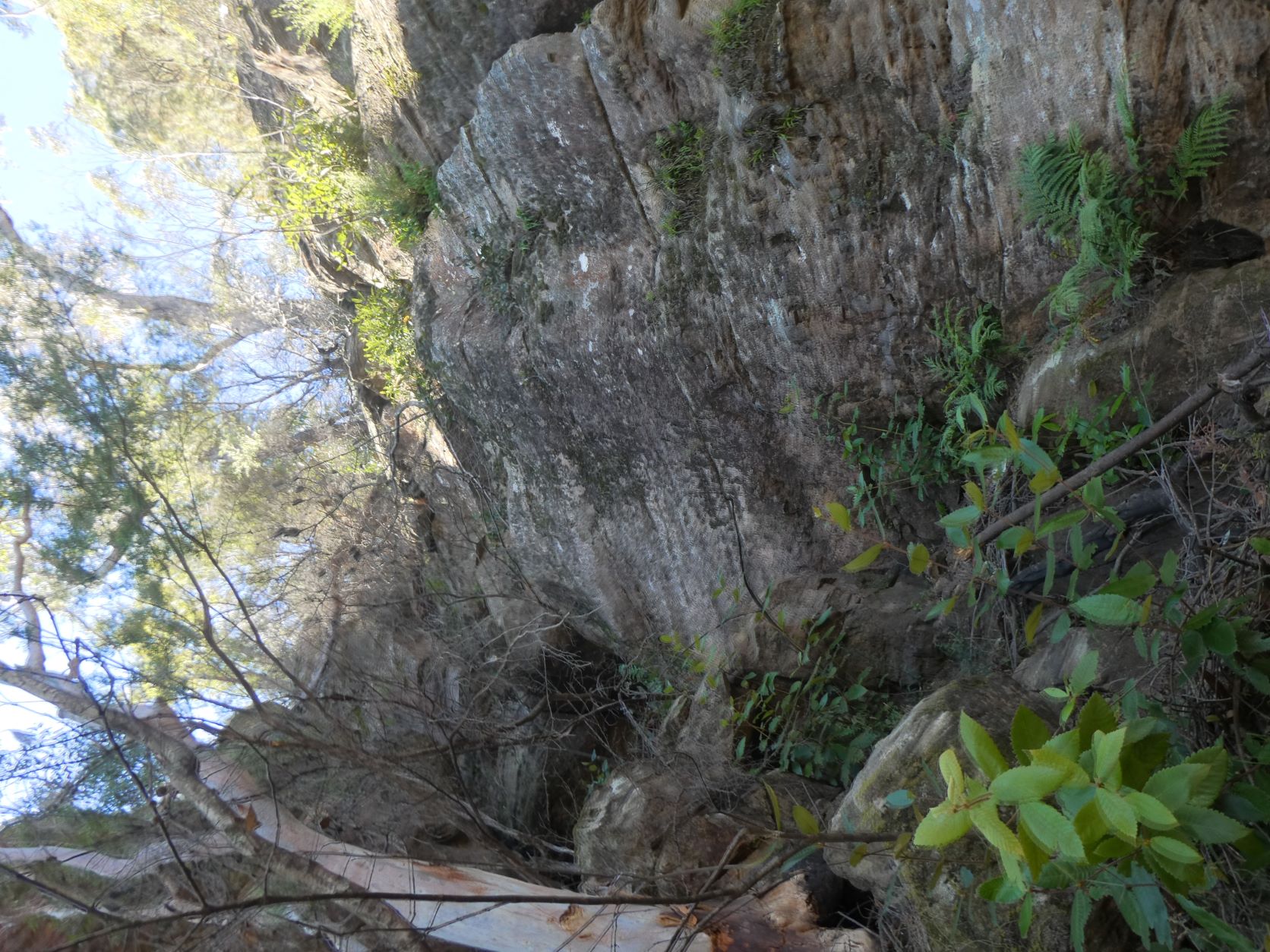 Mt Solitary - Western Passes