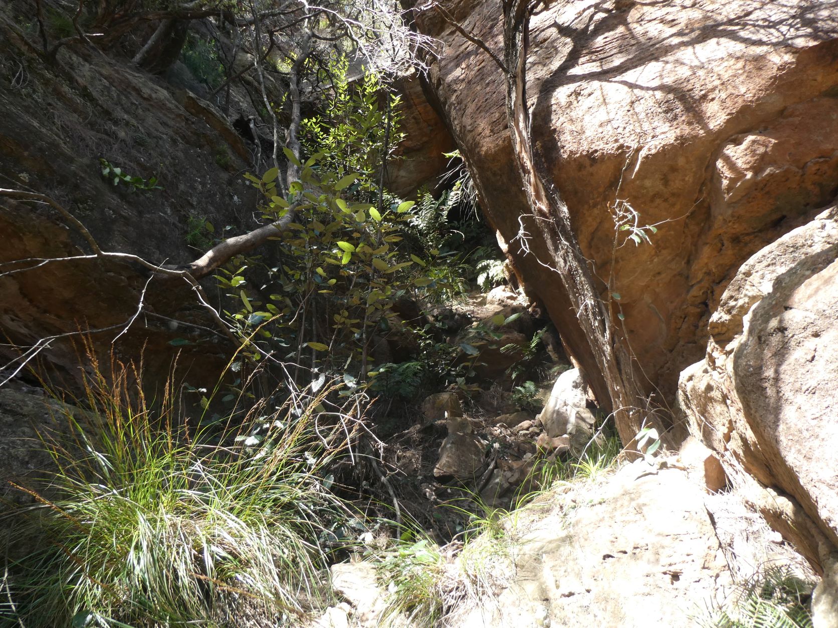 Mt Solitary - Western Passes