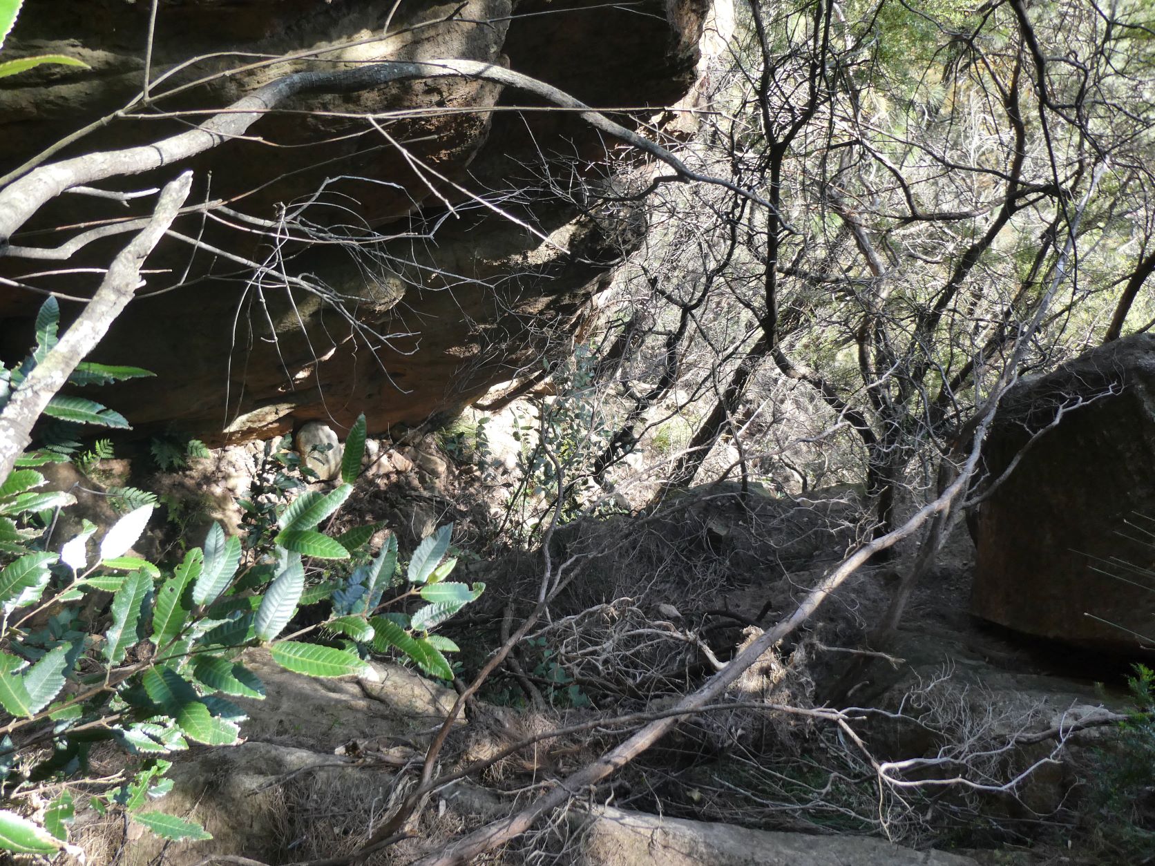 Mt Solitary - Western Passes