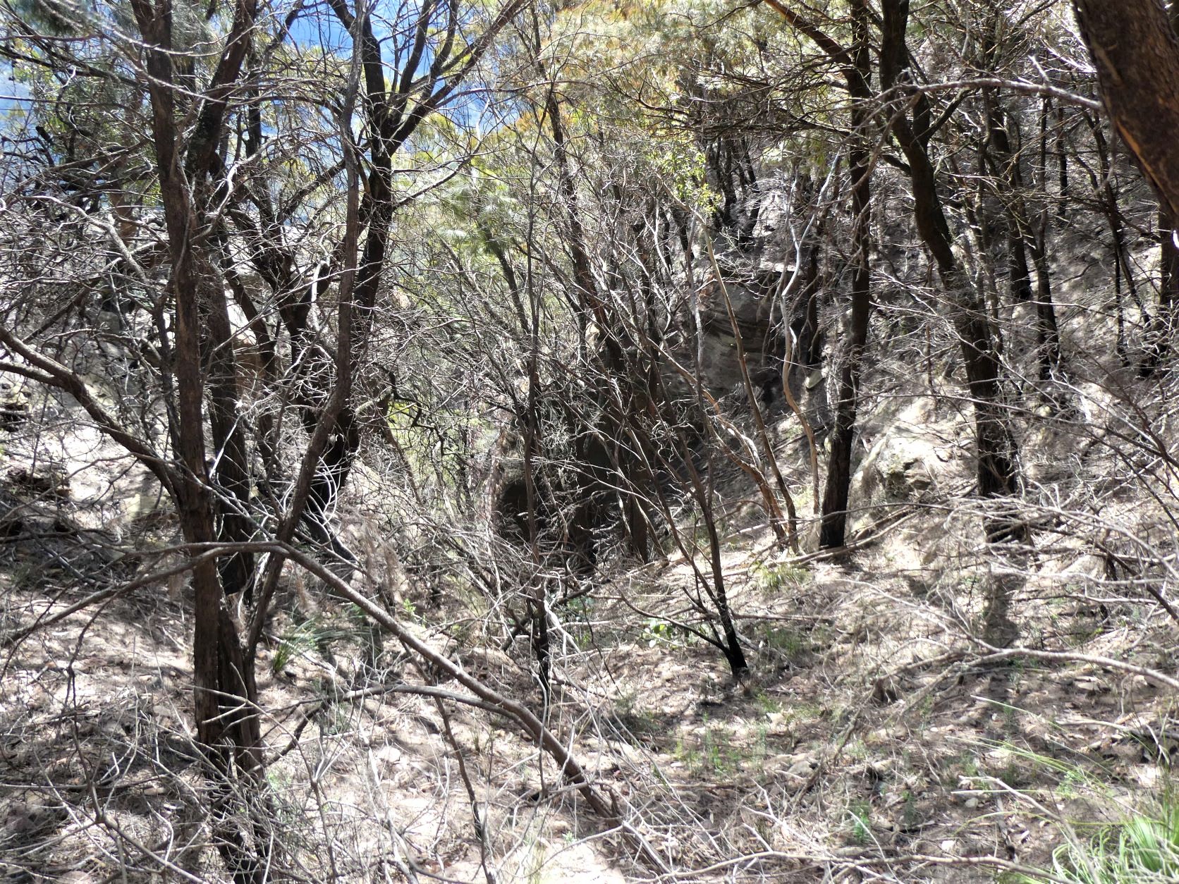 Mt Solitary - Western Passes