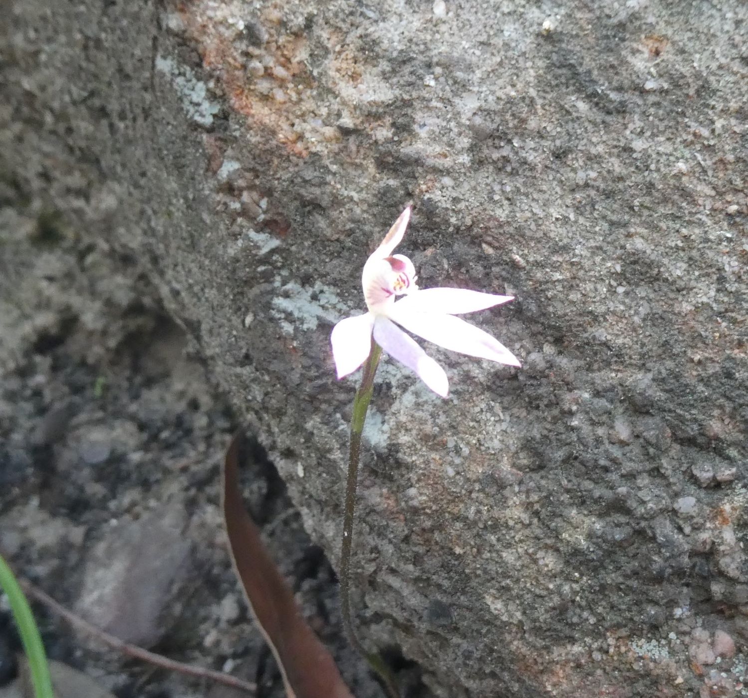 Mt Solitary - Western Passes