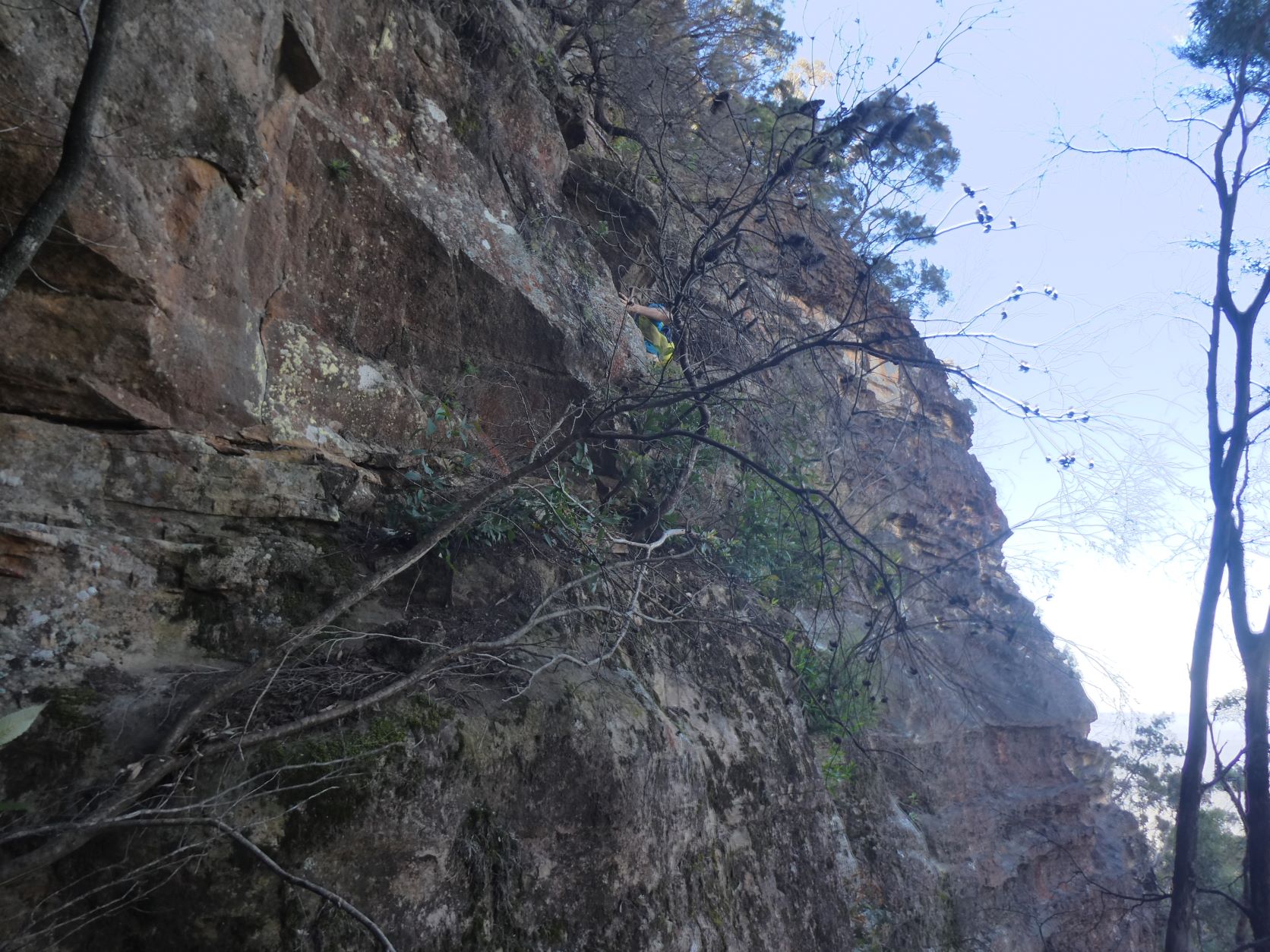 Mt Solitary - Winding Pass