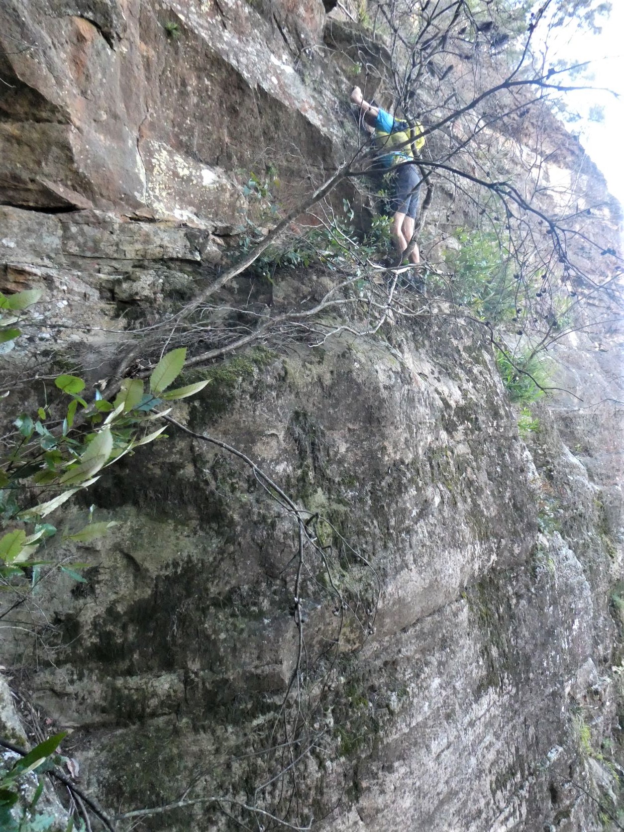 Mt Solitary - Winding Pass