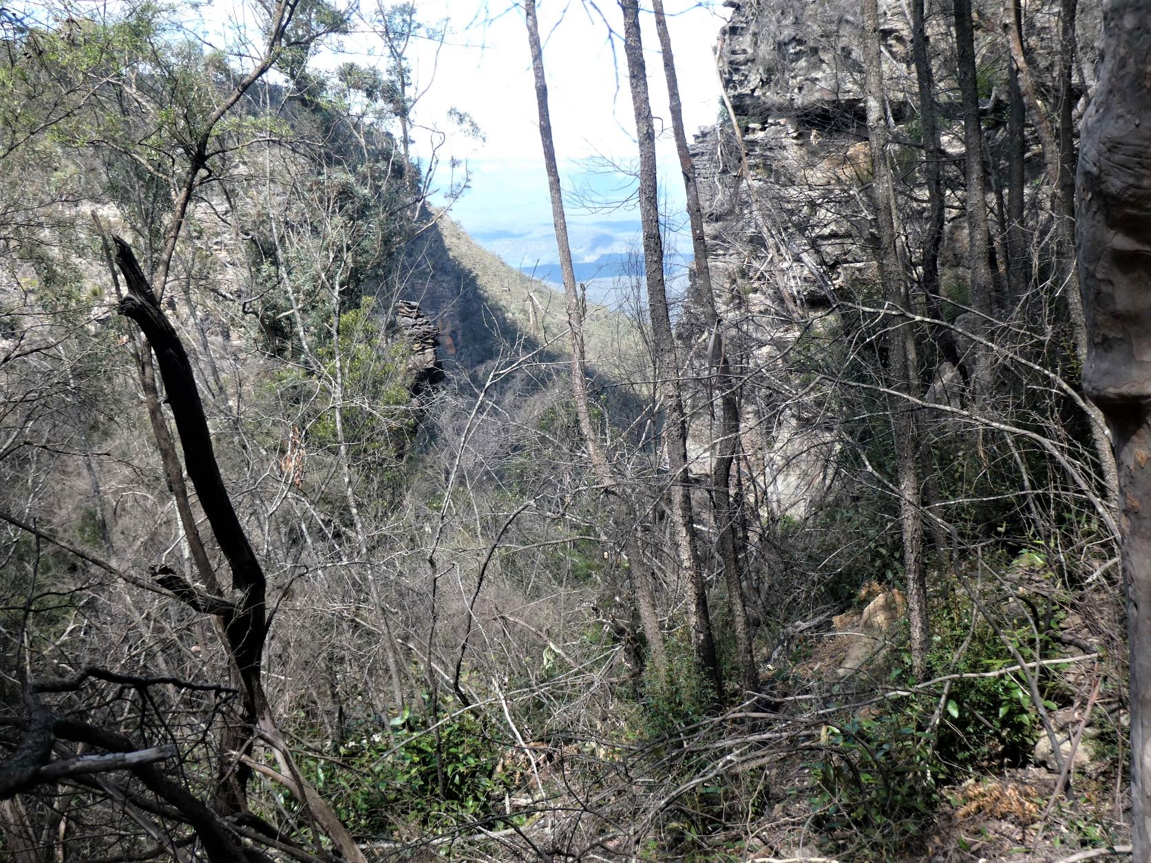 Mt Solitary - Toorak Gully