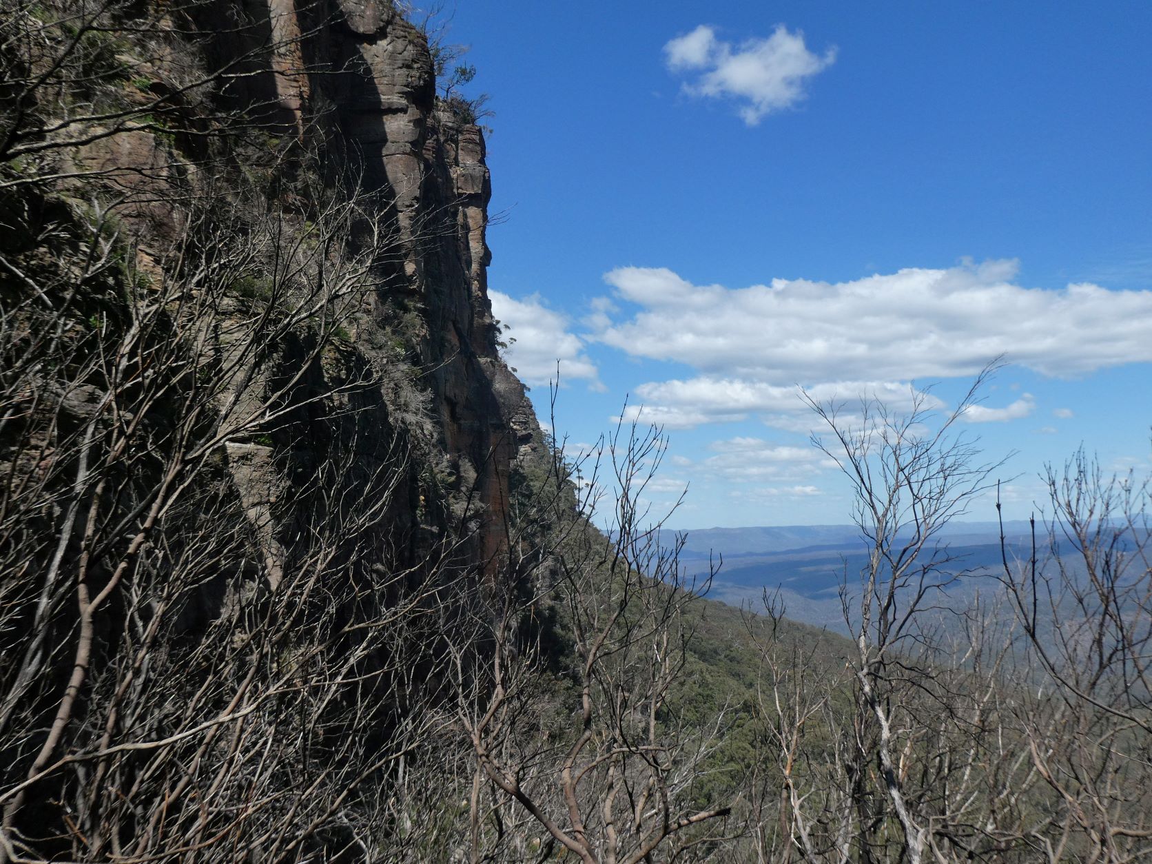 Mt Solitary - Toorak Gully