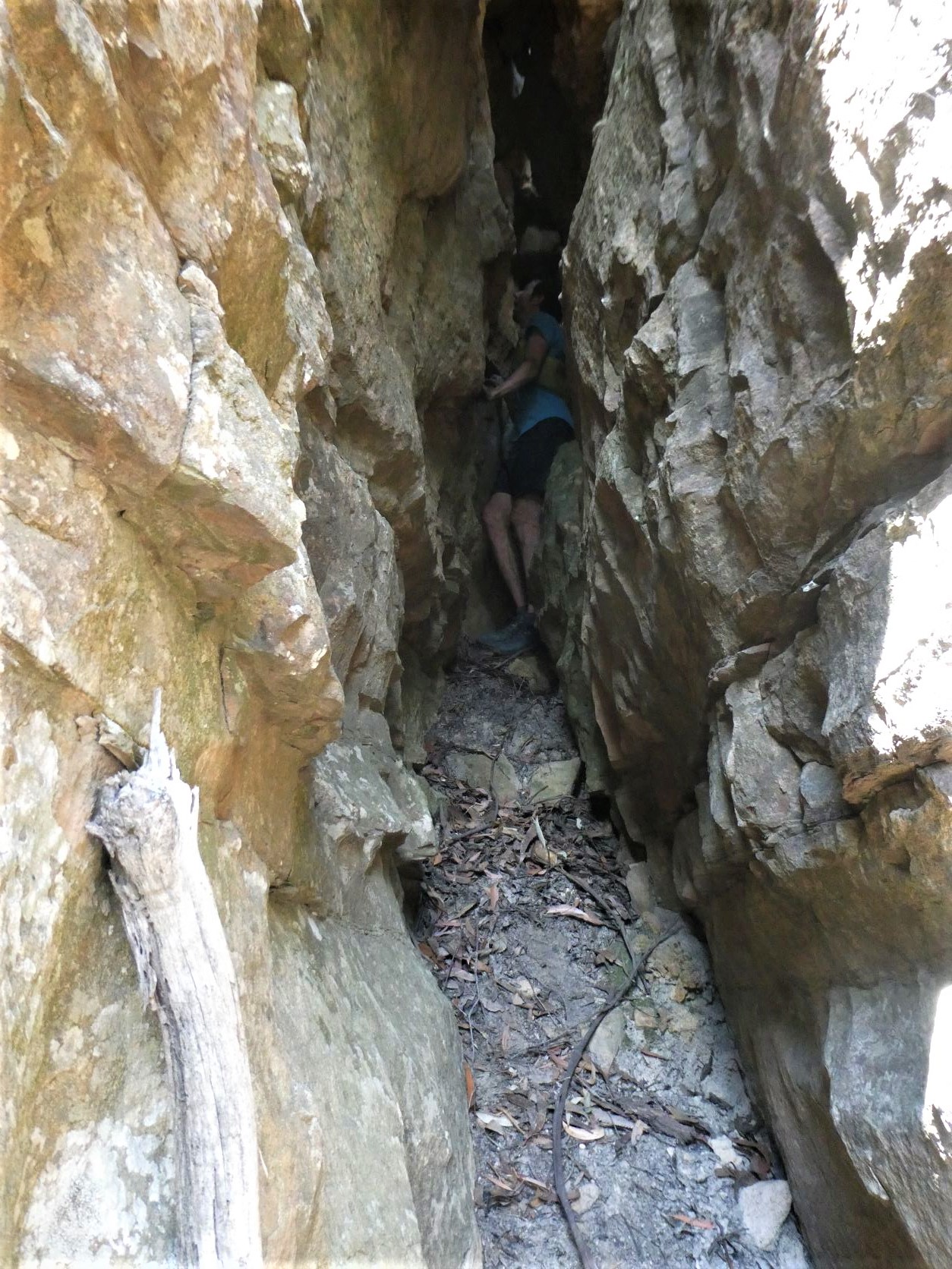 Mt Solitary - Blarney Pass