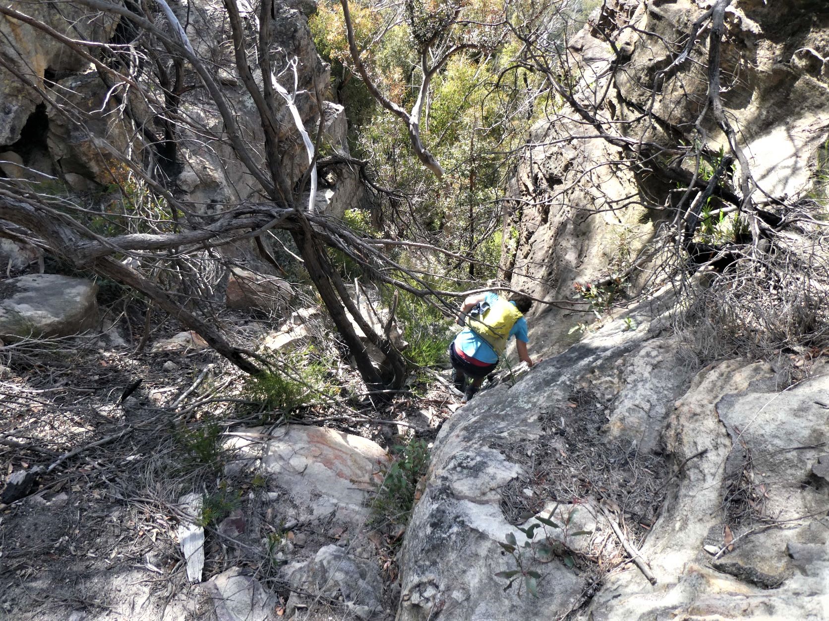 Mt Solitary - Top of Miners Pass