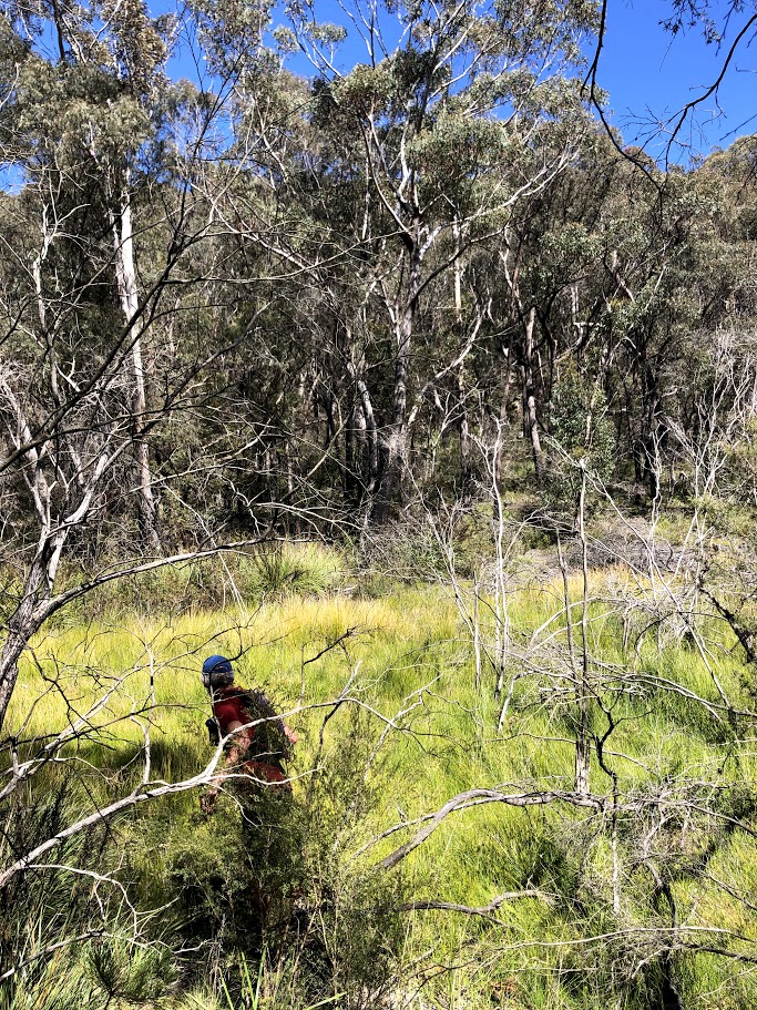 Singajingawell Creek crossing