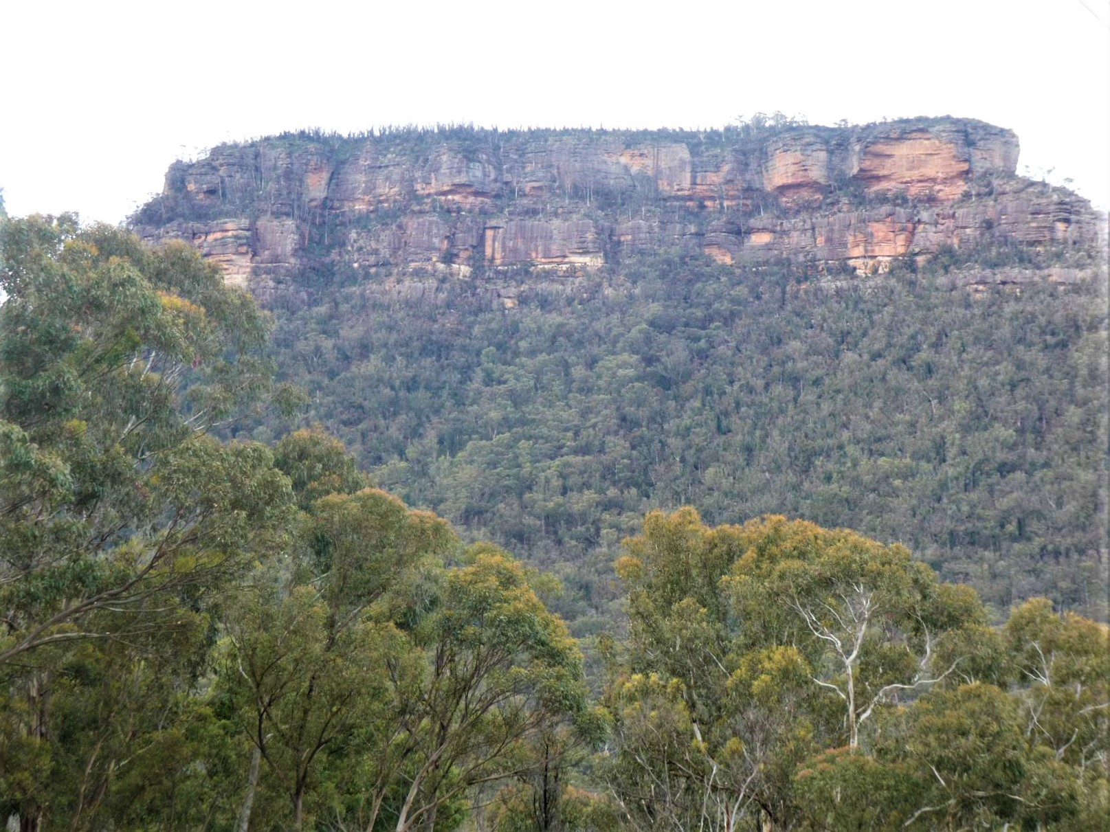Black Billy Head - North and South