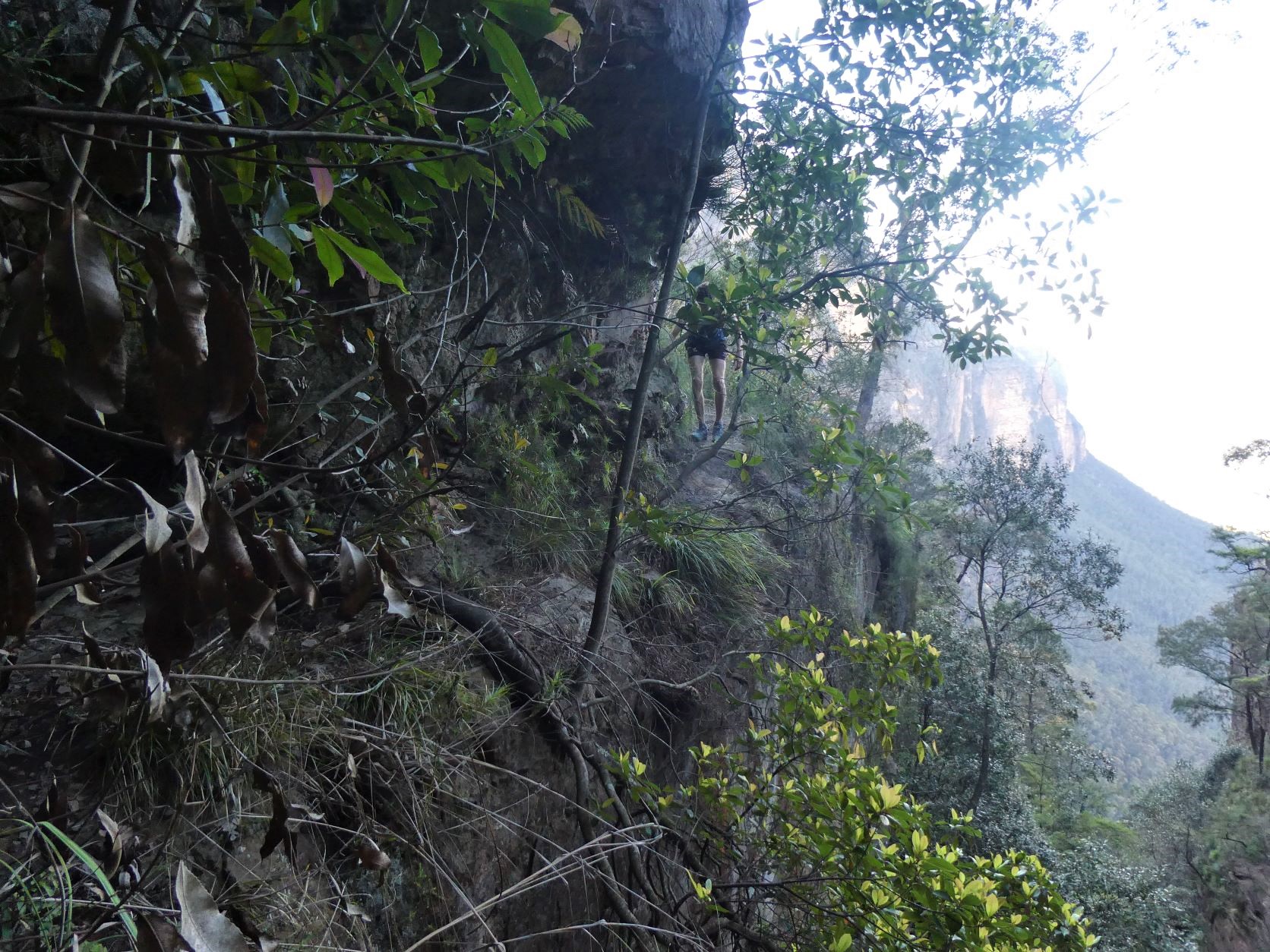 Narrow Ledge over 30m drop