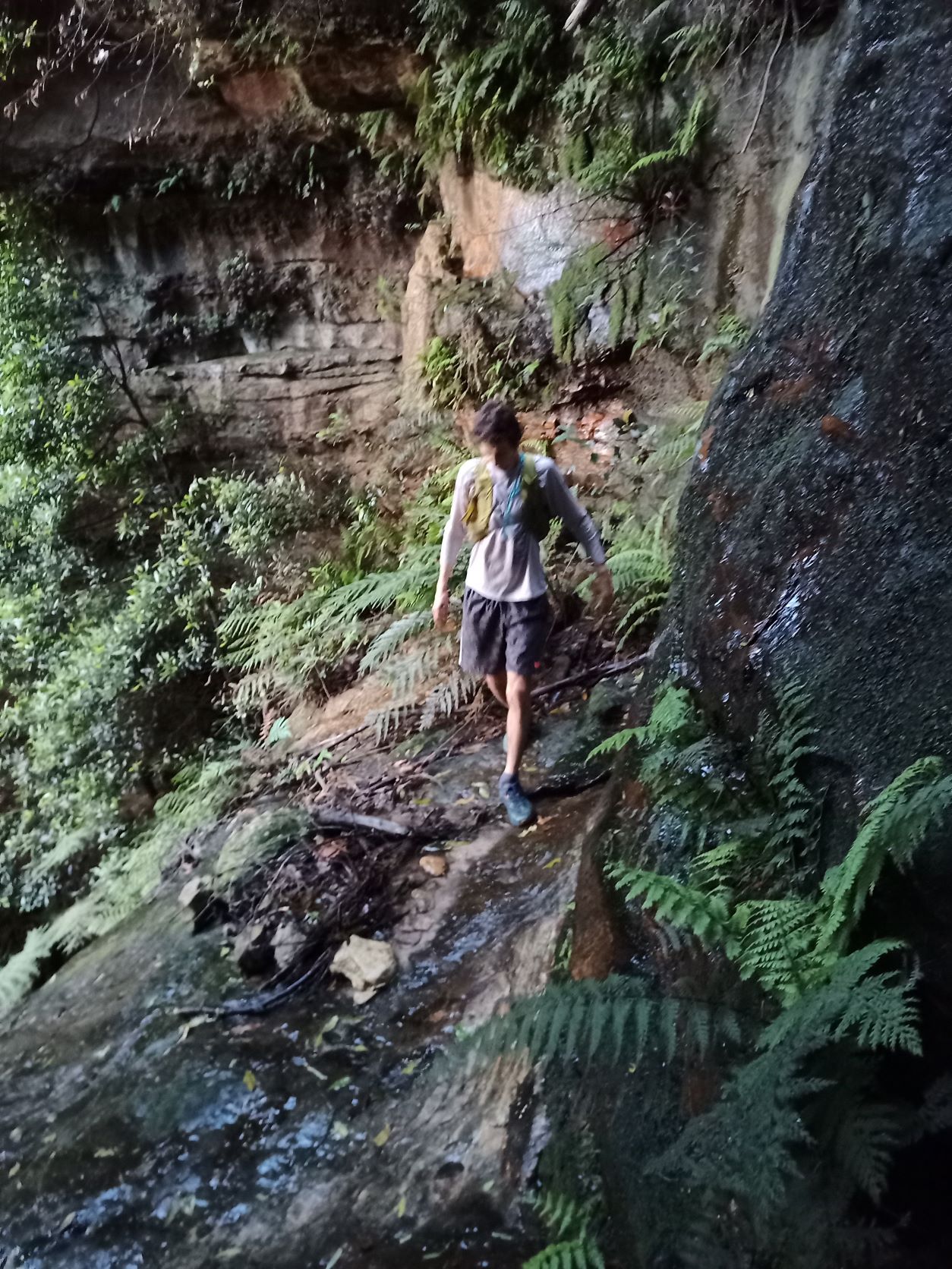 Fourteen Narrowneck Passes