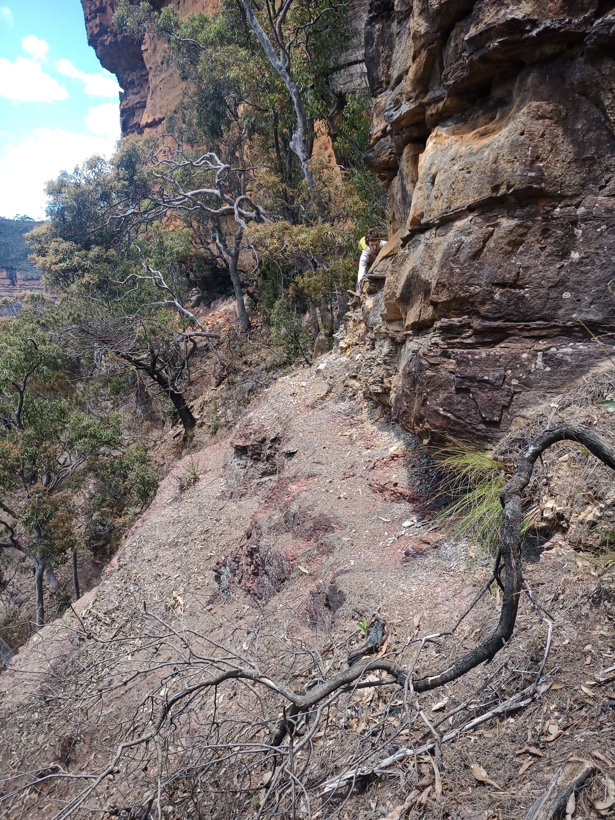 Fourteen Narrowneck Passes