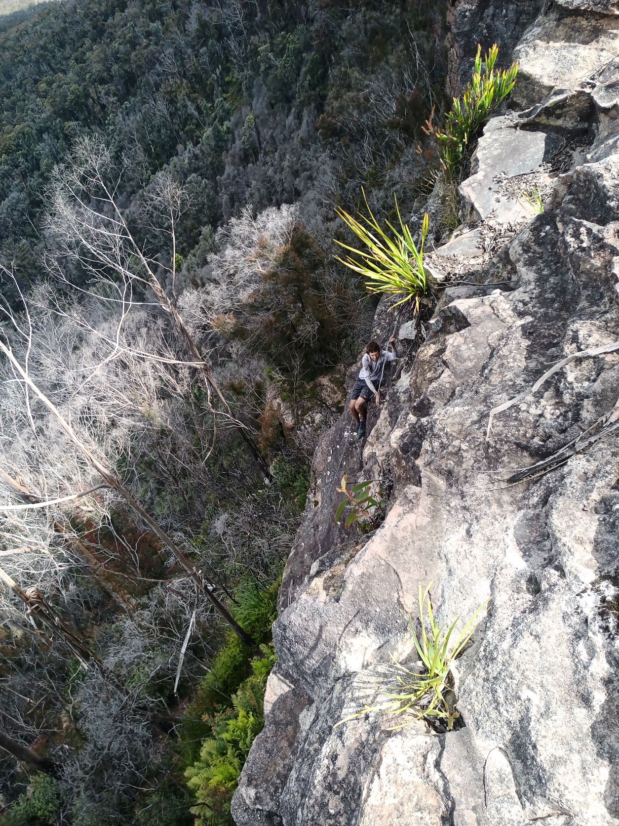 Fourteen Narrowneck Passes