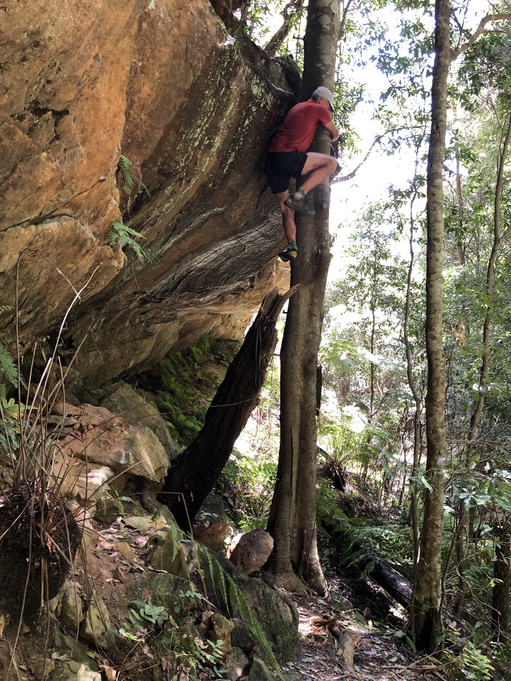Fourteen Narrowneck Passes