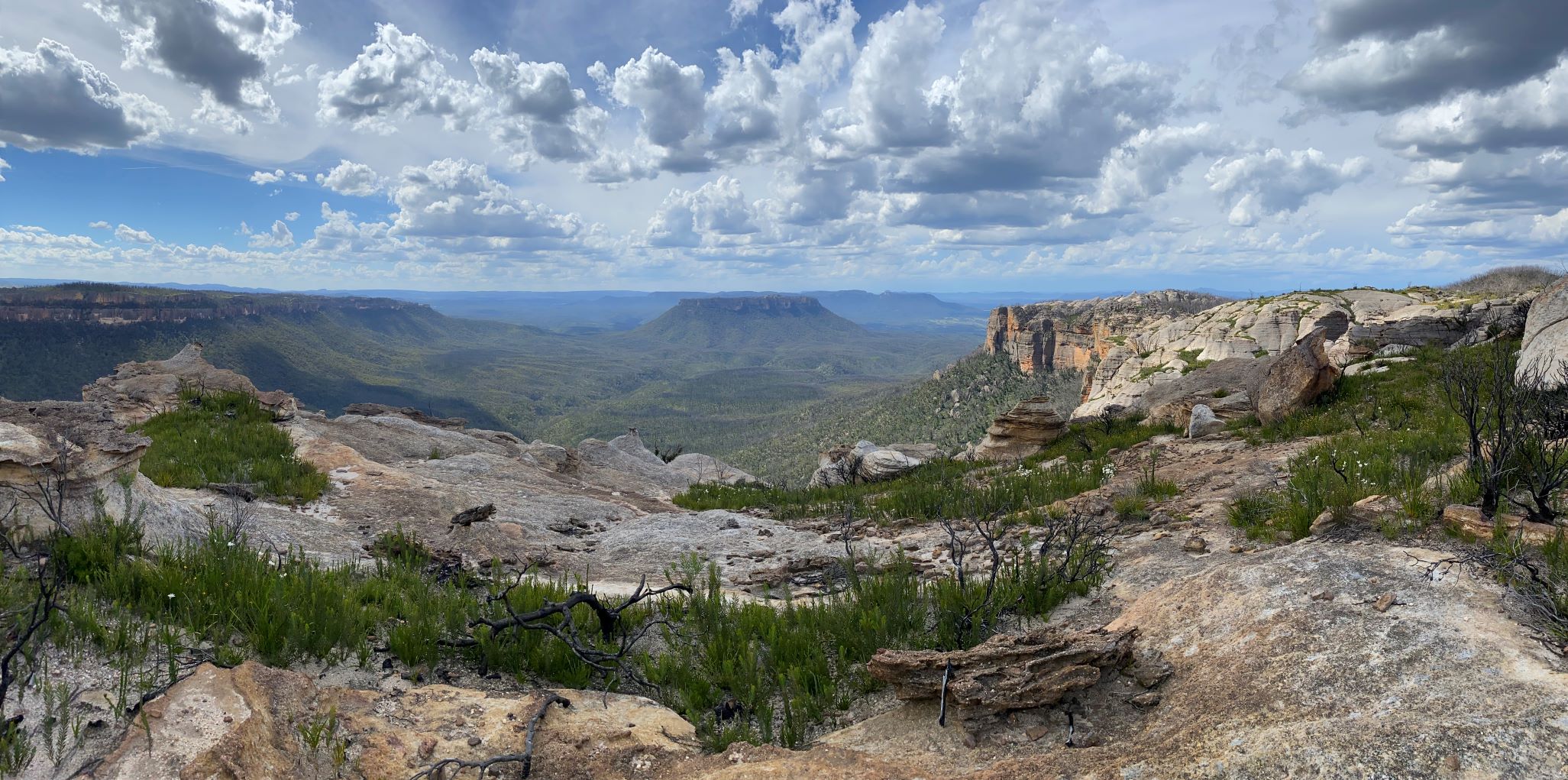 Views towards Baal Bone Point and Pantoneys Crown and Point Cameron