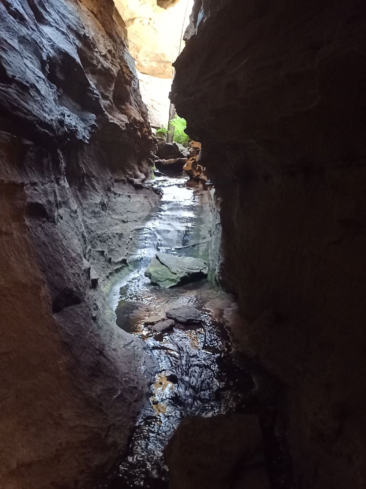The canyon below the Pondage Outlet